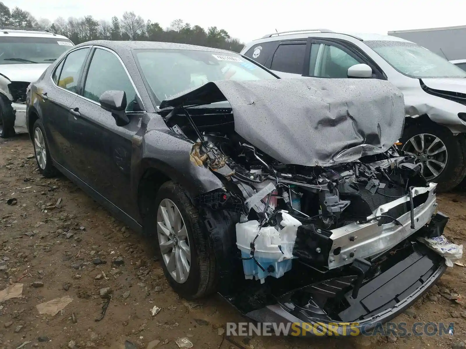 1 Photograph of a damaged car 4T1B11HKXKU774412 TOYOTA CAMRY 2019