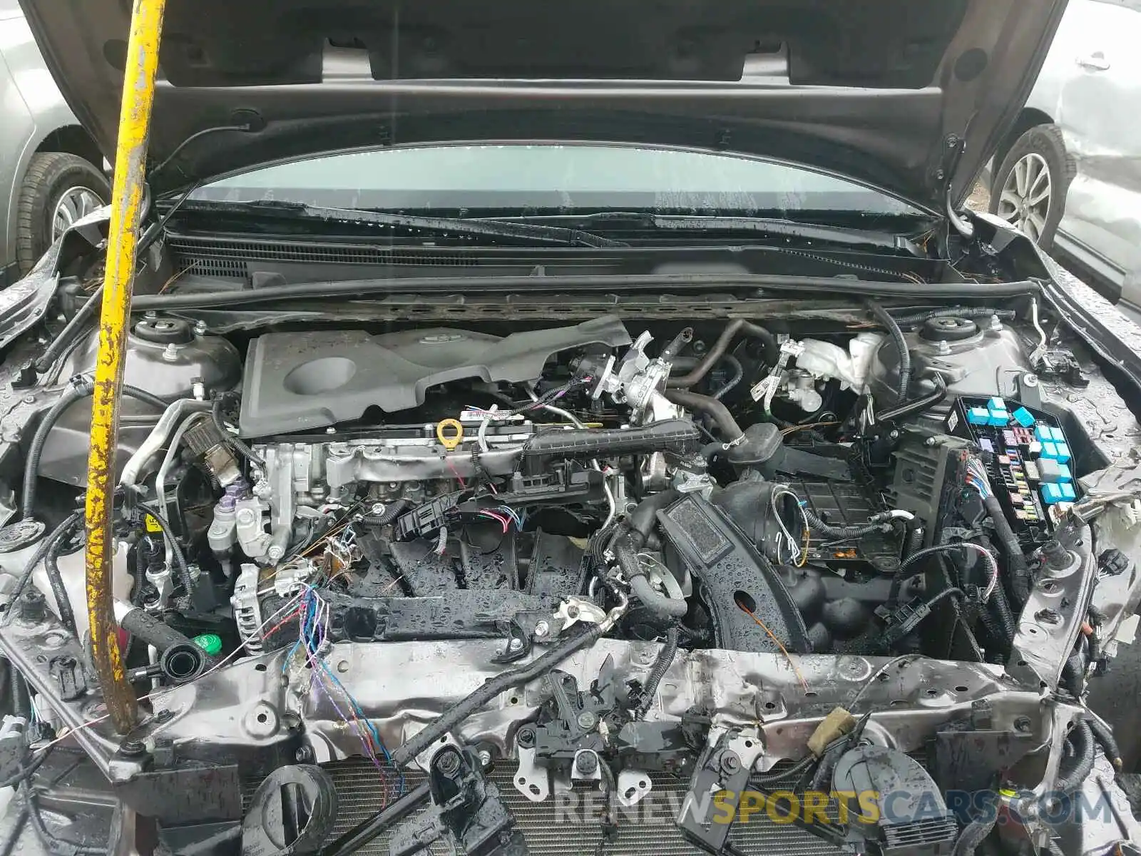 7 Photograph of a damaged car 4T1B11HKXKU774412 TOYOTA CAMRY 2019