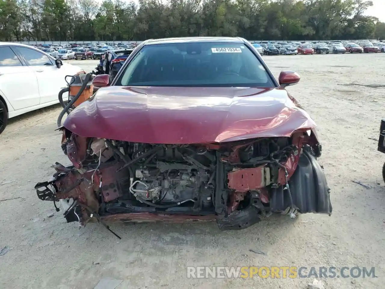 5 Photograph of a damaged car 4T1B11HKXKU790500 TOYOTA CAMRY 2019