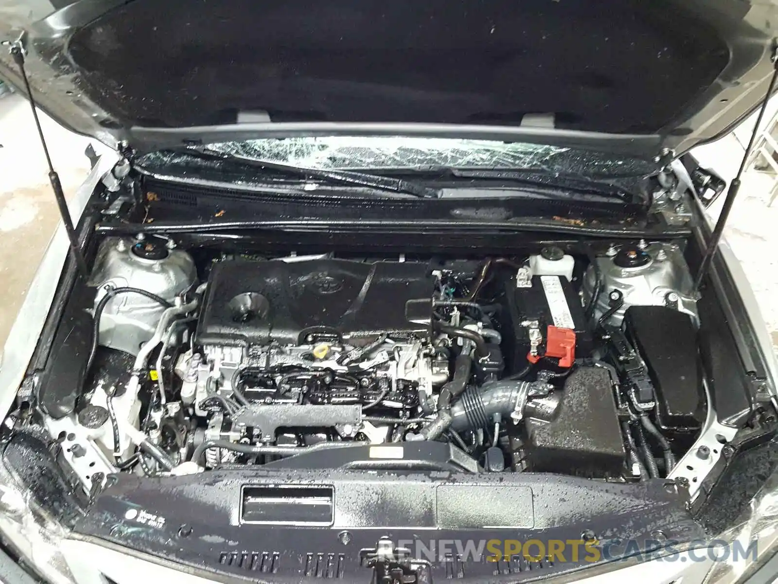 7 Photograph of a damaged car 4T1B11HKXKU800796 TOYOTA CAMRY 2019