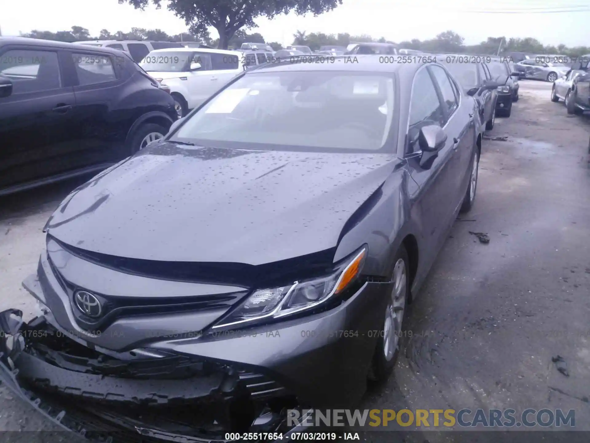 2 Photograph of a damaged car 4T1B11HKXKU803083 TOYOTA CAMRY 2019