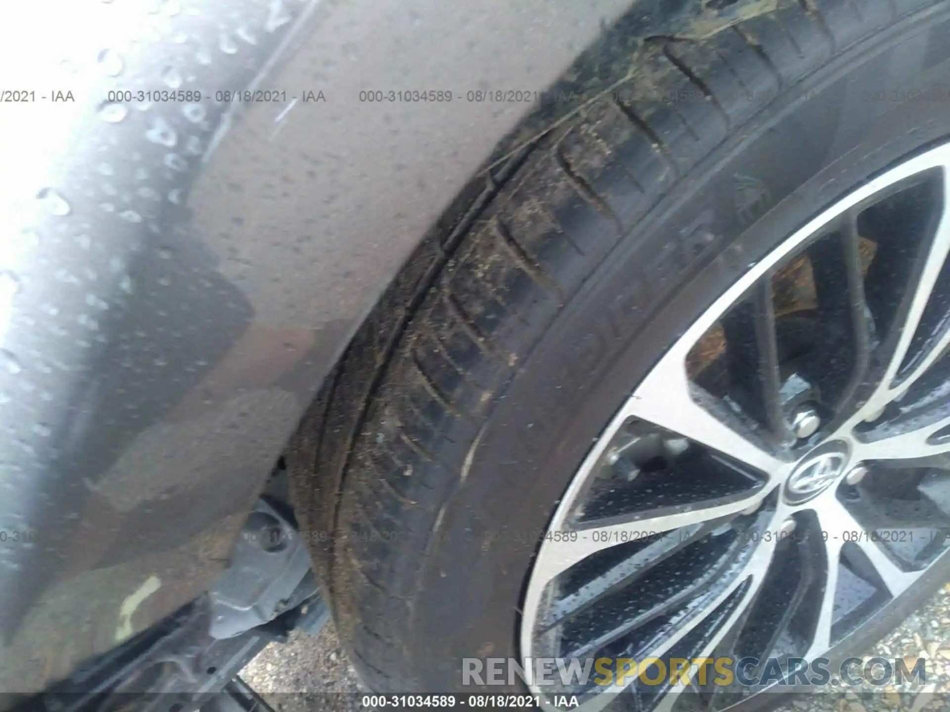 12 Photograph of a damaged car 4T1B11HKXKU804931 TOYOTA CAMRY 2019