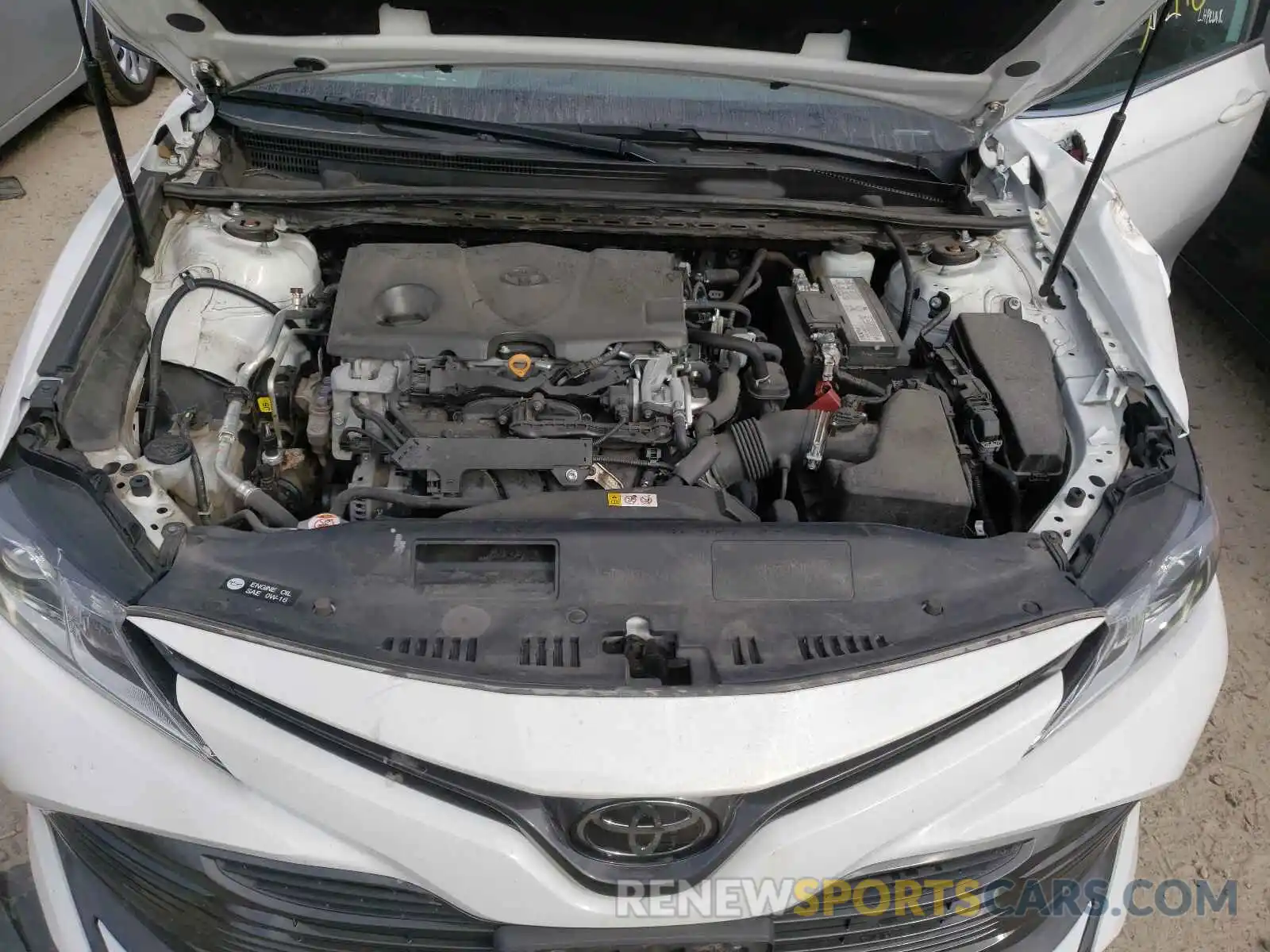 7 Photograph of a damaged car 4T1B11HKXKU808316 TOYOTA CAMRY 2019