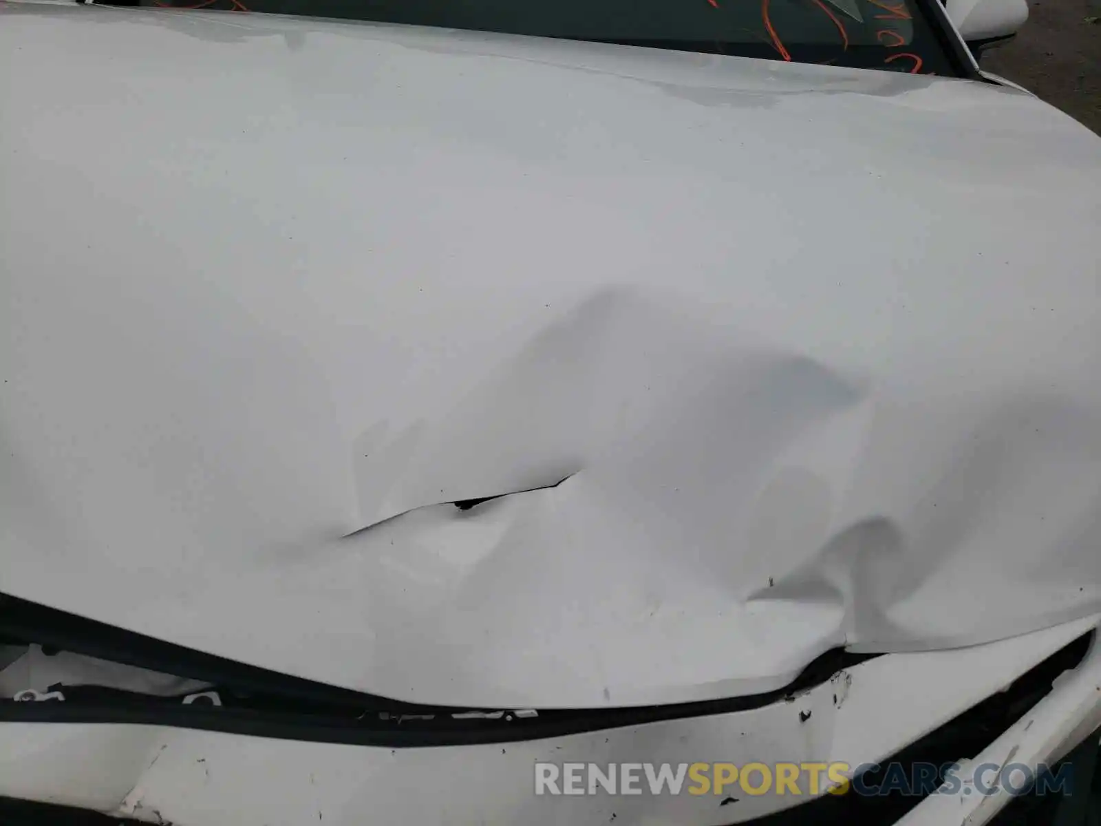 7 Photograph of a damaged car 4T1B11HKXKU808591 TOYOTA CAMRY 2019