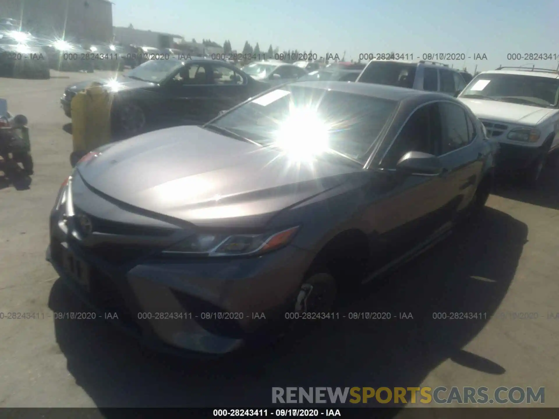 12 Photograph of a damaged car 4T1B11HKXKU838822 TOYOTA CAMRY 2019