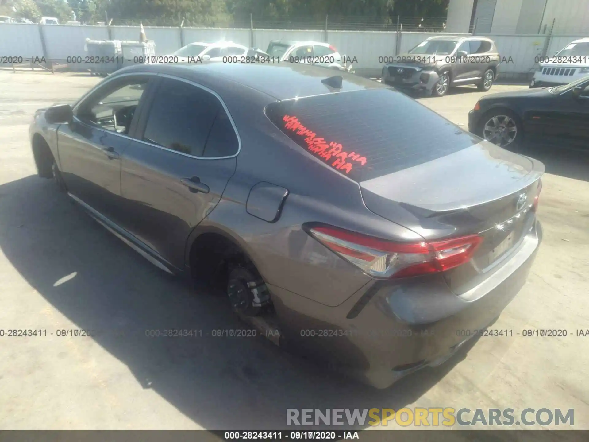 13 Photograph of a damaged car 4T1B11HKXKU838822 TOYOTA CAMRY 2019