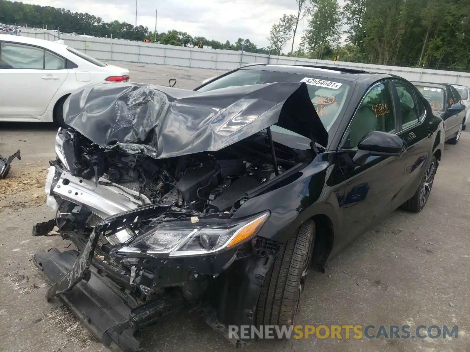 2 Photograph of a damaged car 4T1B11HKXKU856852 TOYOTA CAMRY 2019