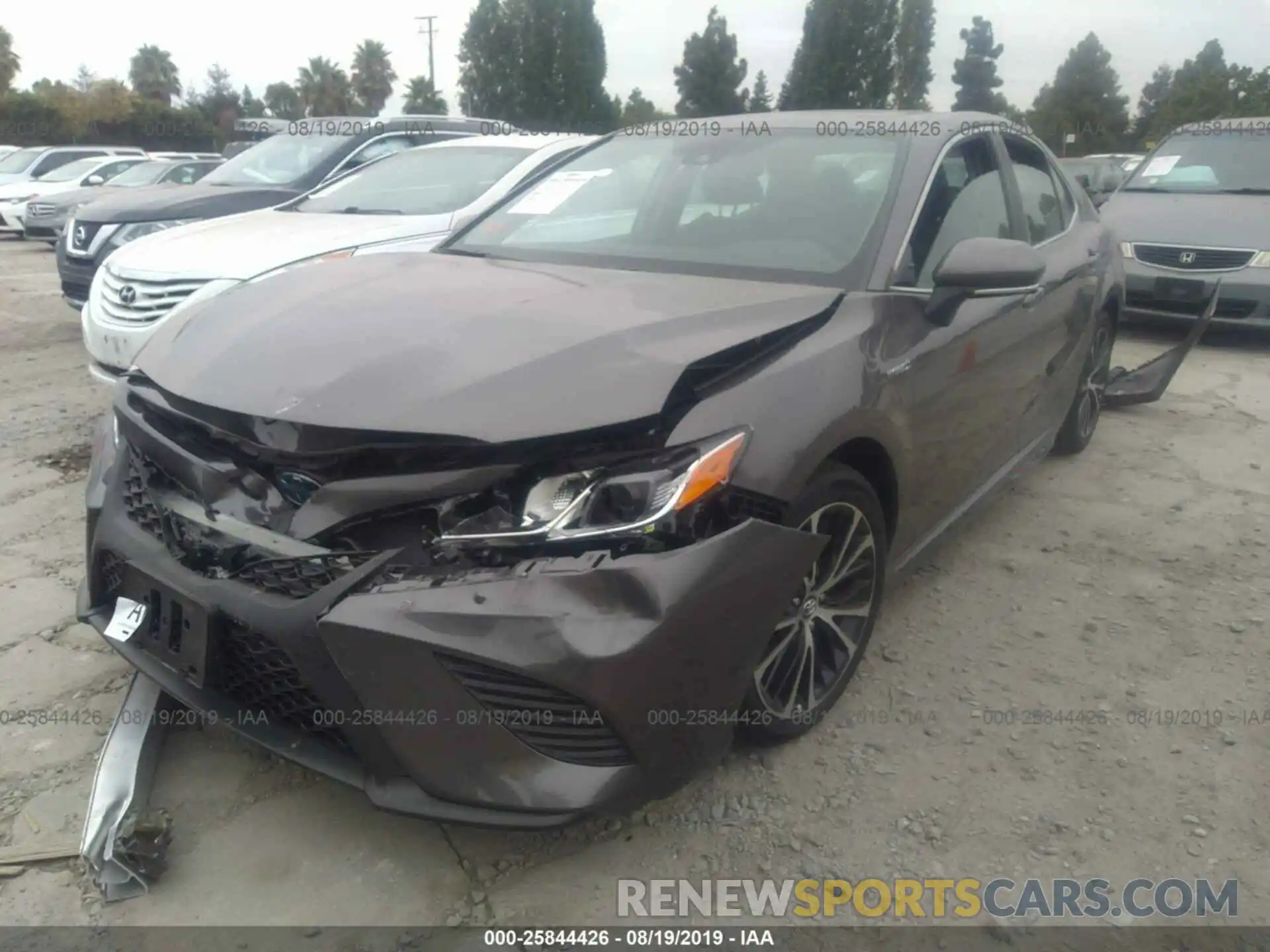 2 Photograph of a damaged car 4T1B21HK0KU013854 TOYOTA CAMRY 2019