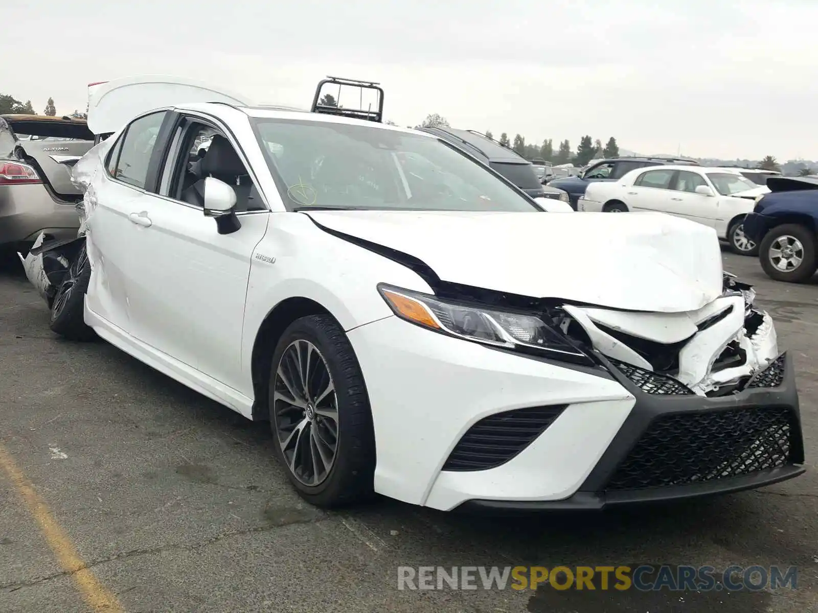 1 Photograph of a damaged car 4T1B21HK0KU511875 TOYOTA CAMRY 2019