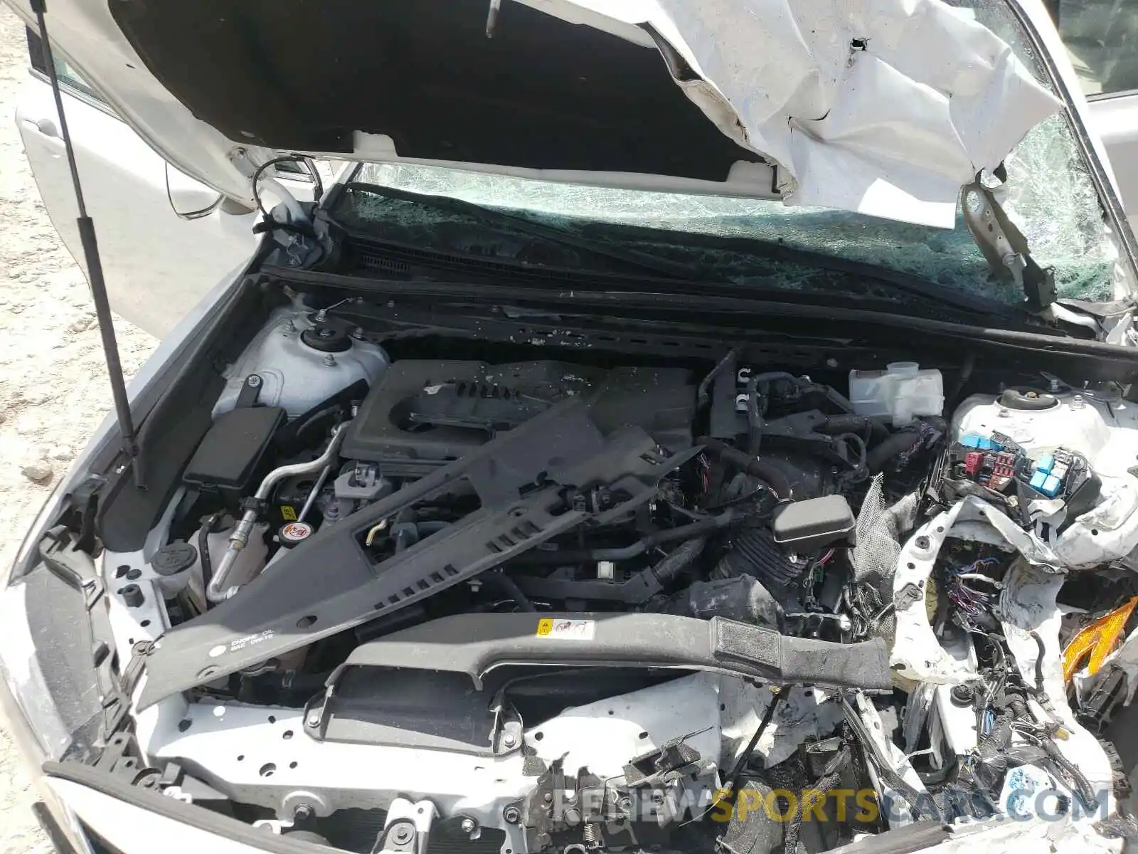 7 Photograph of a damaged car 4T1B21HK0KU514081 TOYOTA CAMRY 2019