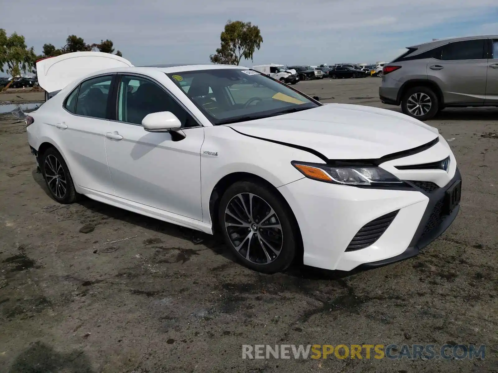 1 Photograph of a damaged car 4T1B21HK1KU519046 TOYOTA CAMRY 2019