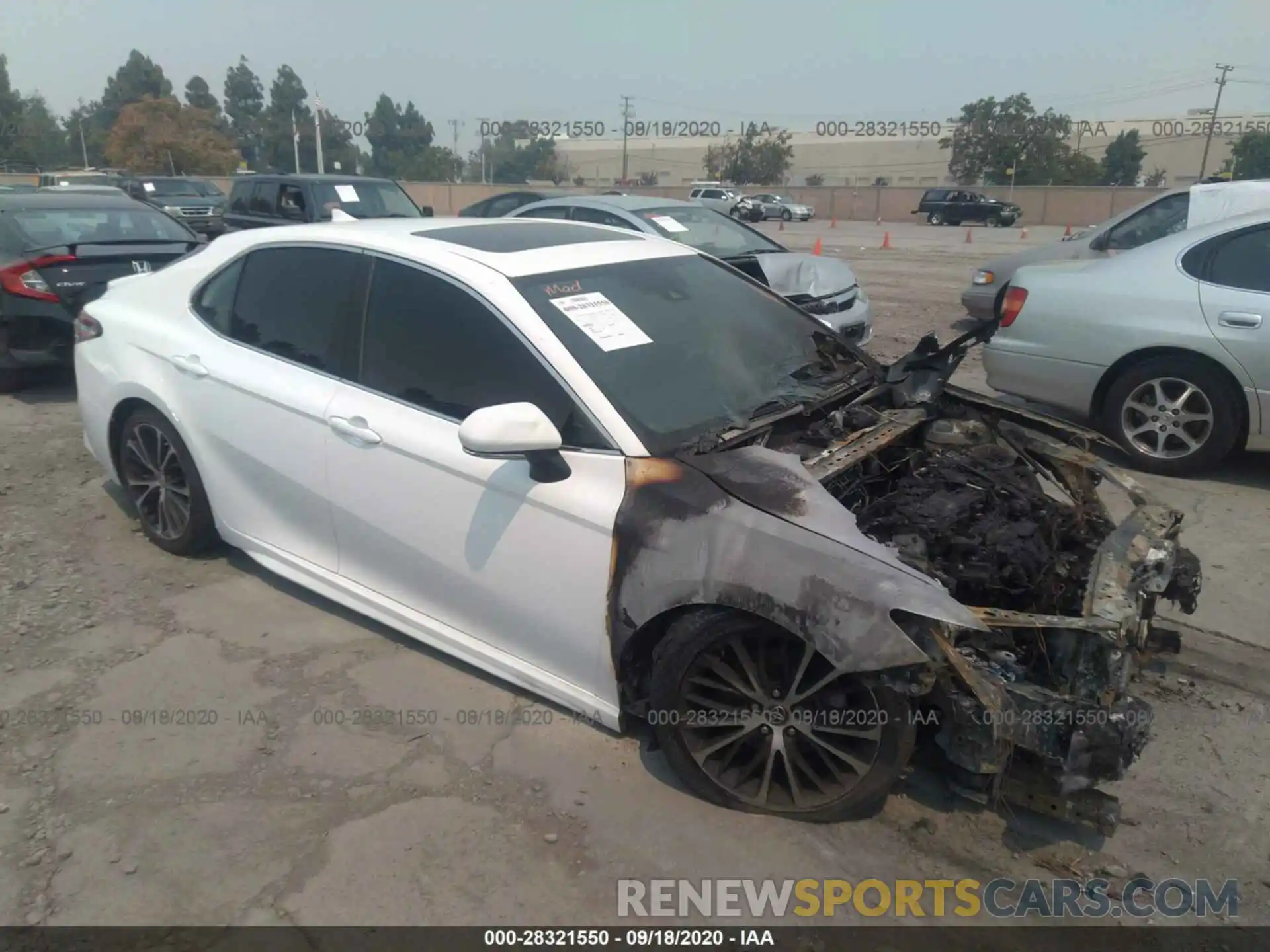 12 Photograph of a damaged car 4T1B21HK2KU011247 TOYOTA CAMRY 2019