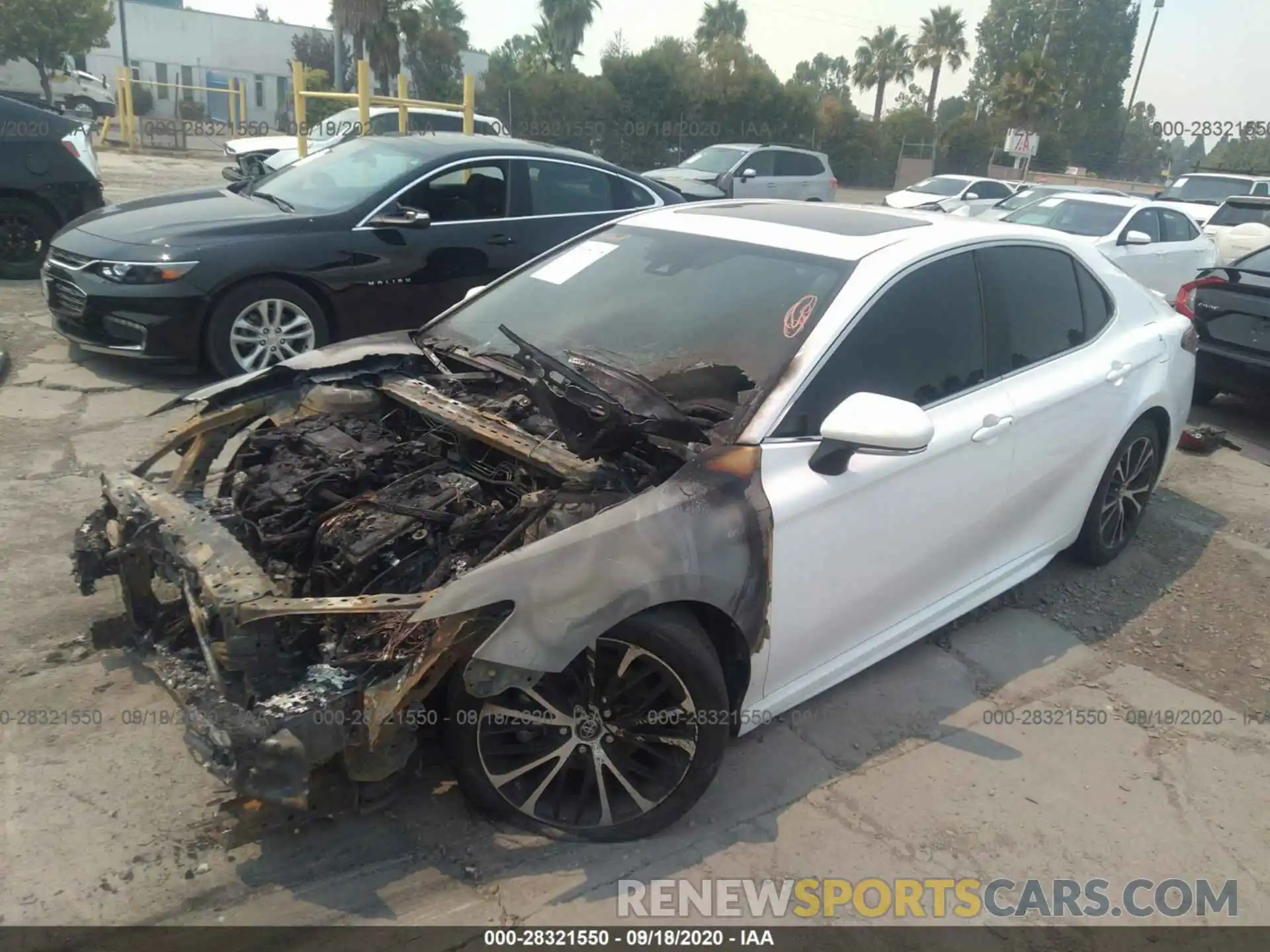 13 Photograph of a damaged car 4T1B21HK2KU011247 TOYOTA CAMRY 2019