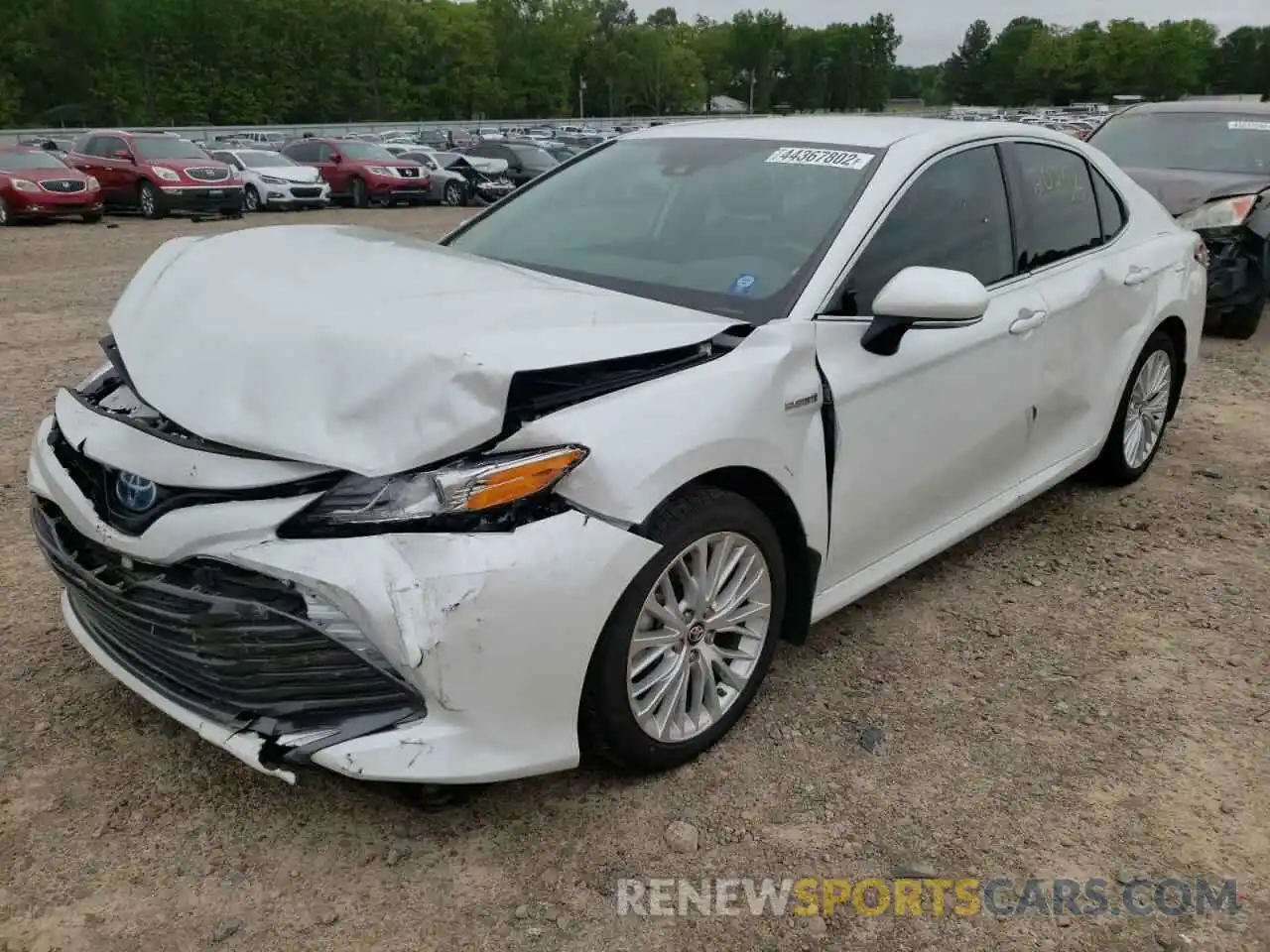 2 Photograph of a damaged car 4T1B21HK2KU518858 TOYOTA CAMRY 2019