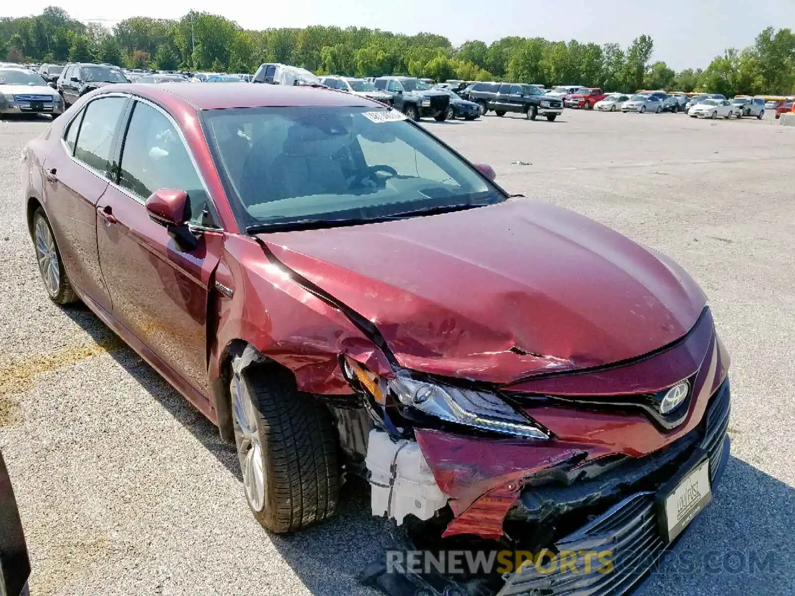 1 Photograph of a damaged car 4T1B21HK6KU515316 TOYOTA CAMRY 2019