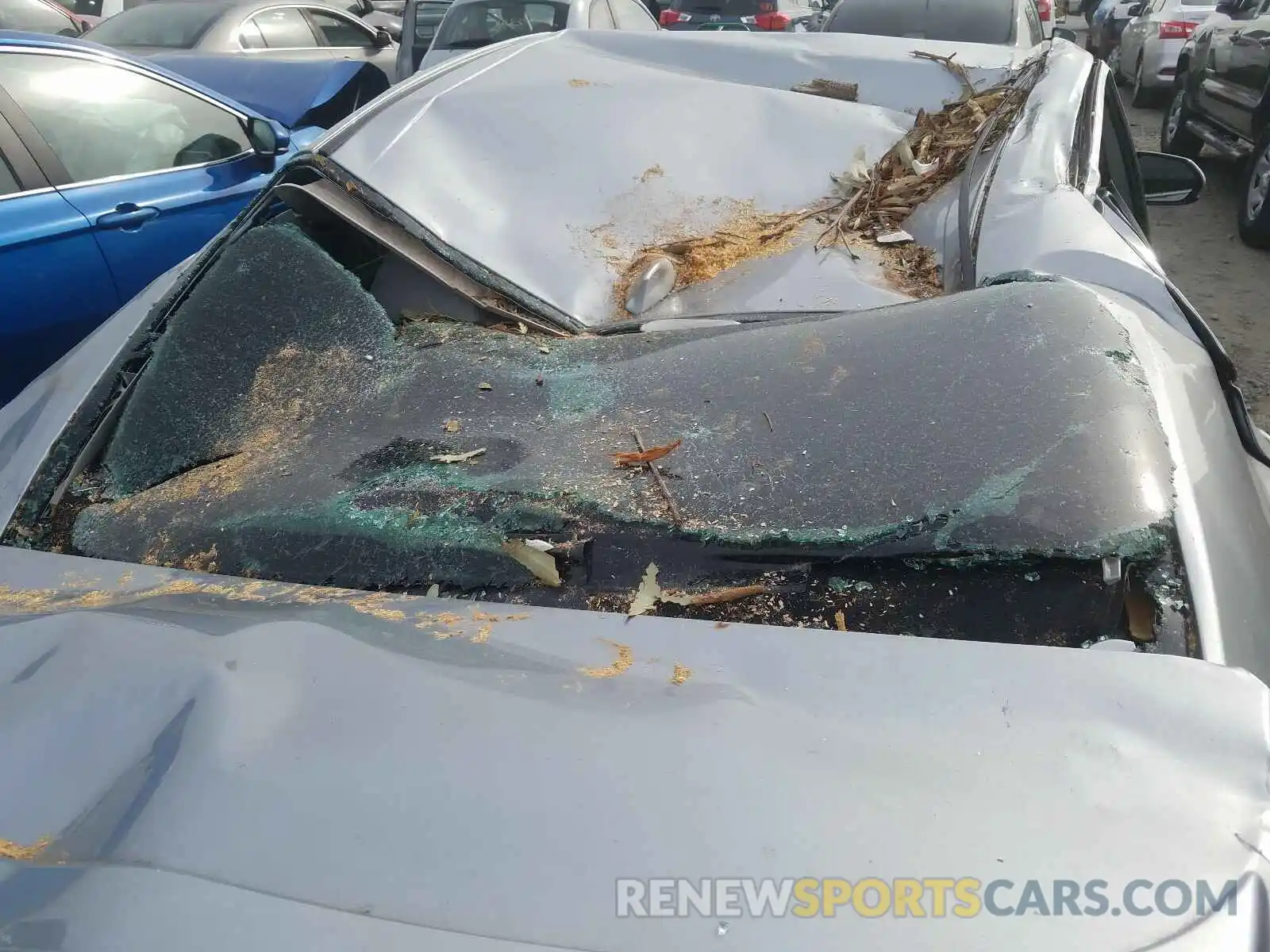 9 Photograph of a damaged car 4T1B21HK6KU517616 TOYOTA CAMRY 2019