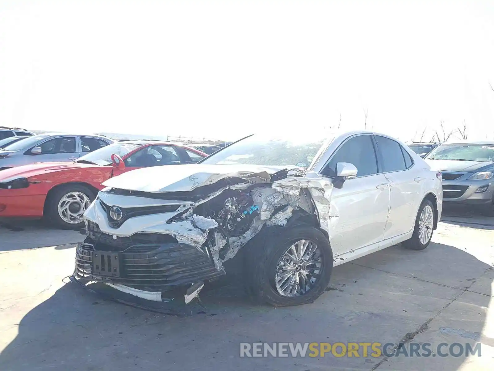 2 Photograph of a damaged car 4T1B21HK7KU520332 TOYOTA CAMRY 2019