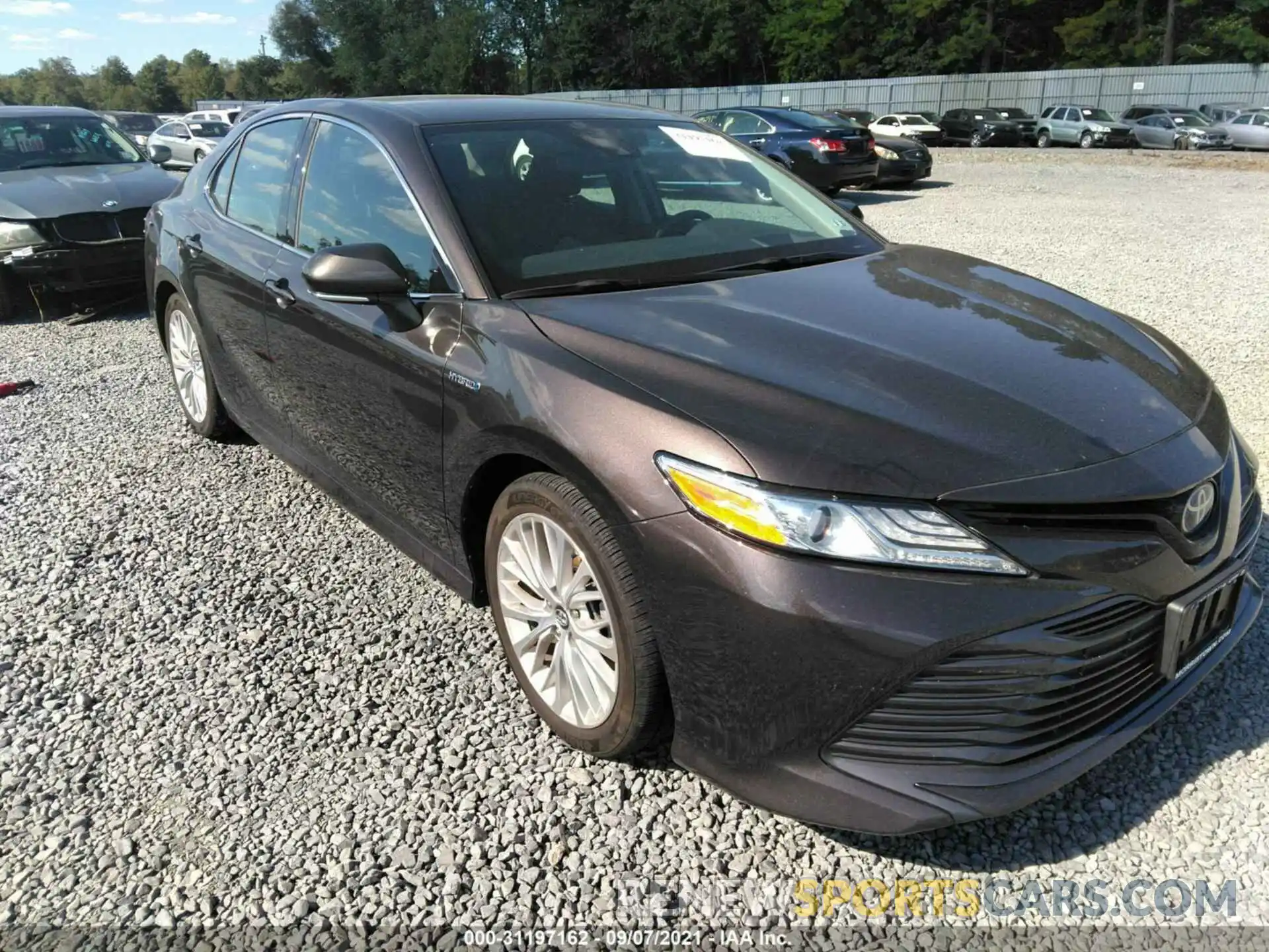 1 Photograph of a damaged car 4T1B21HK8KU013102 TOYOTA CAMRY 2019