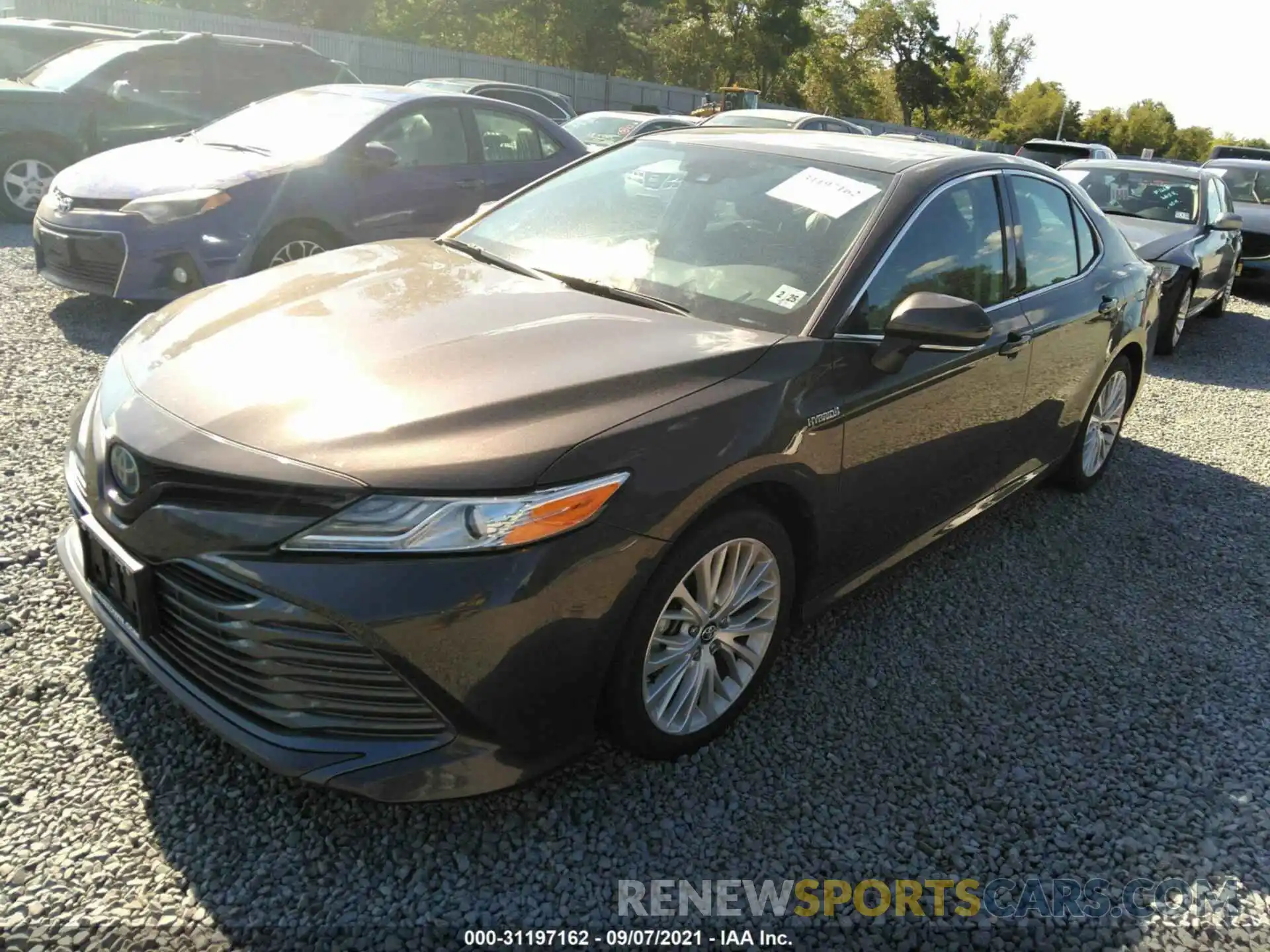 2 Photograph of a damaged car 4T1B21HK8KU013102 TOYOTA CAMRY 2019