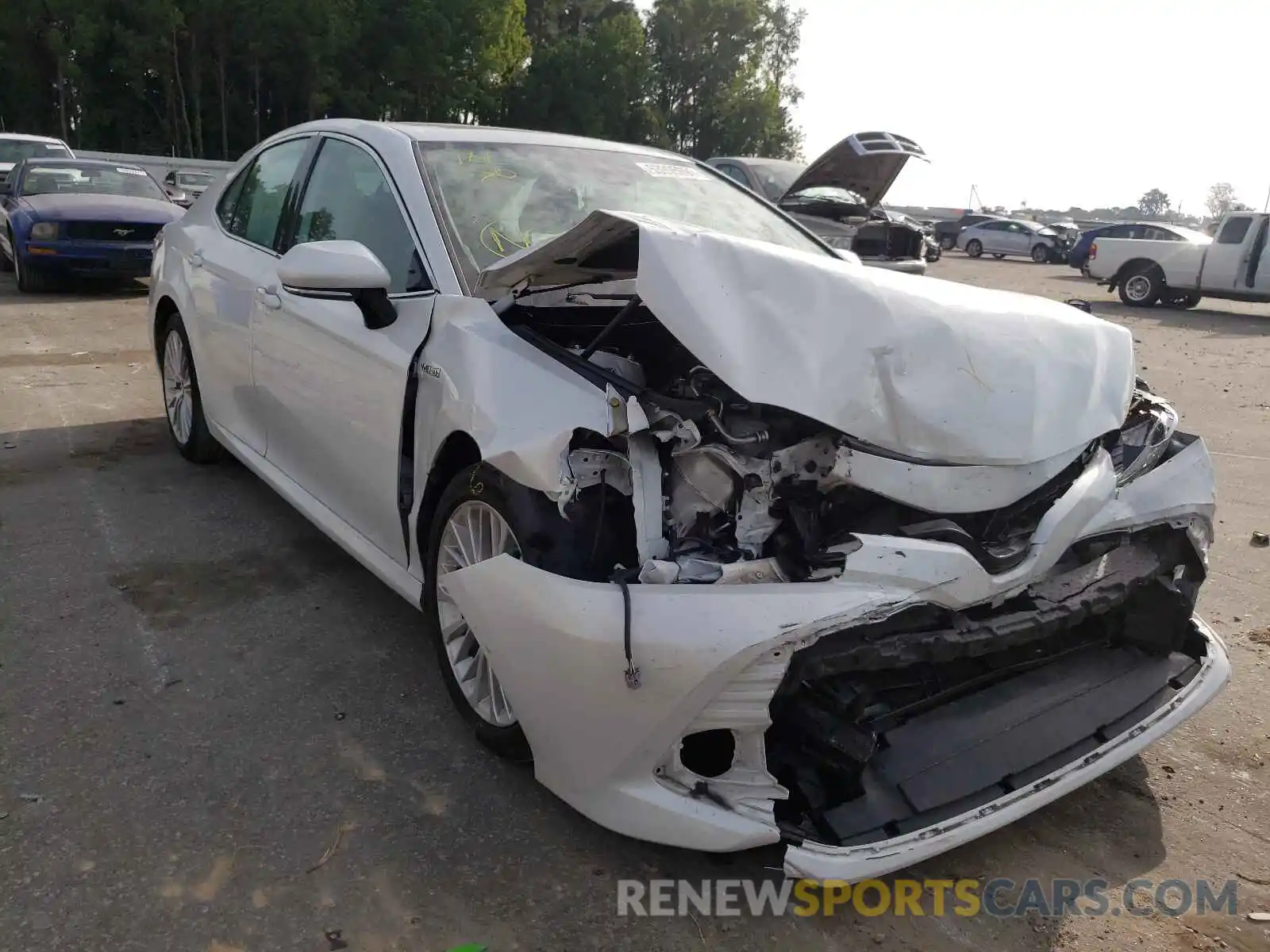 1 Photograph of a damaged car 4T1B21HK8KU517343 TOYOTA CAMRY 2019