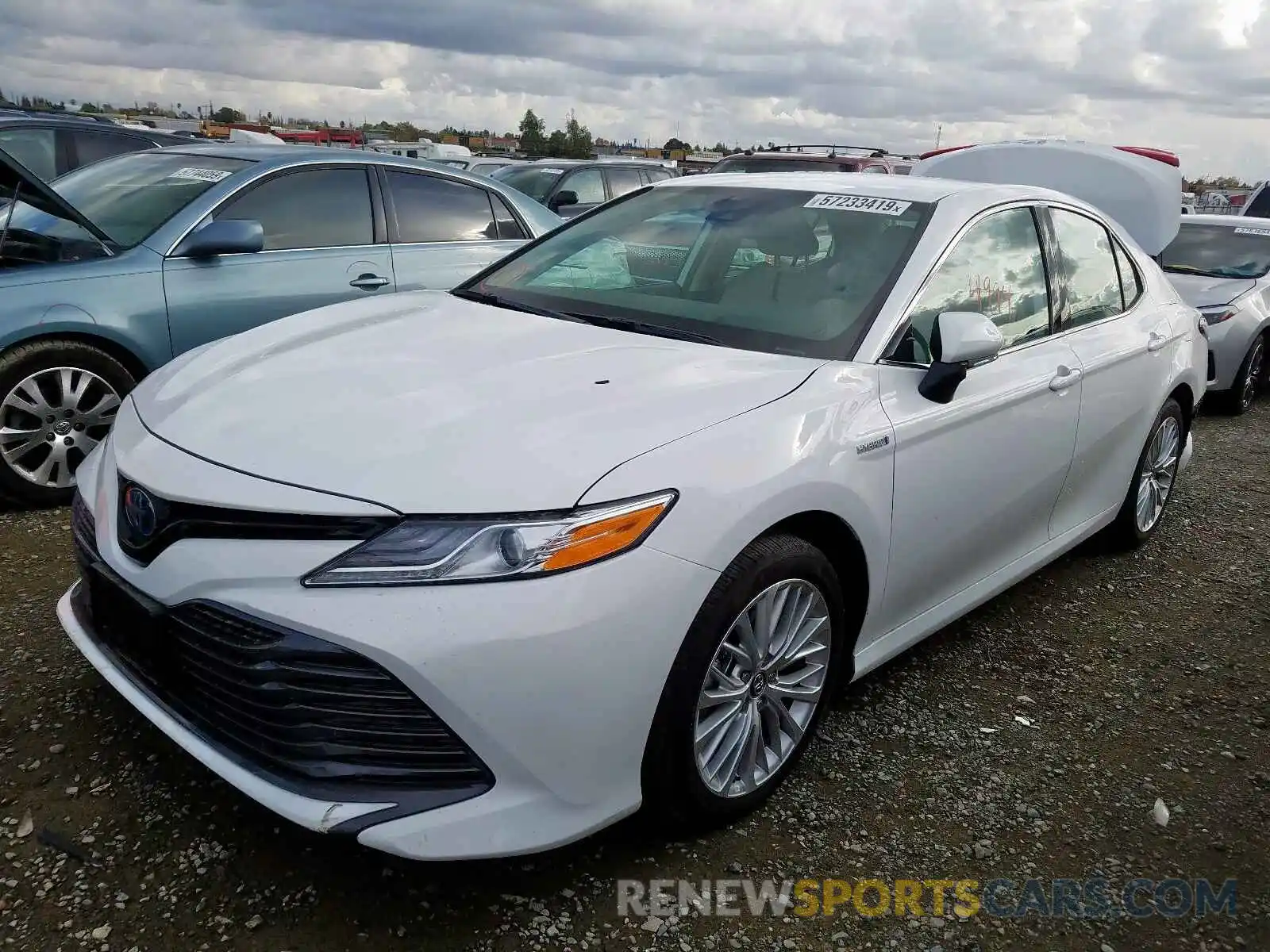 2 Photograph of a damaged car 4T1B21HK9KU013366 TOYOTA CAMRY 2019