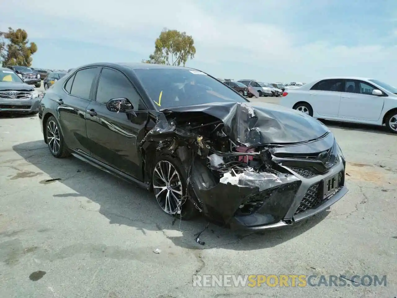 1 Photograph of a damaged car 4T1B21HK9KU521109 TOYOTA CAMRY 2019