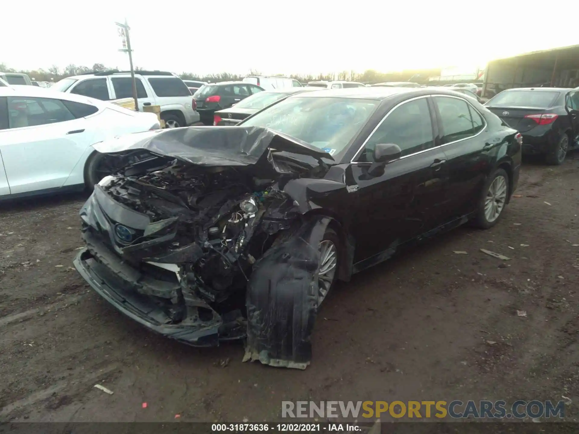 2 Photograph of a damaged car 4T1B21HKXKU517666 TOYOTA CAMRY 2019