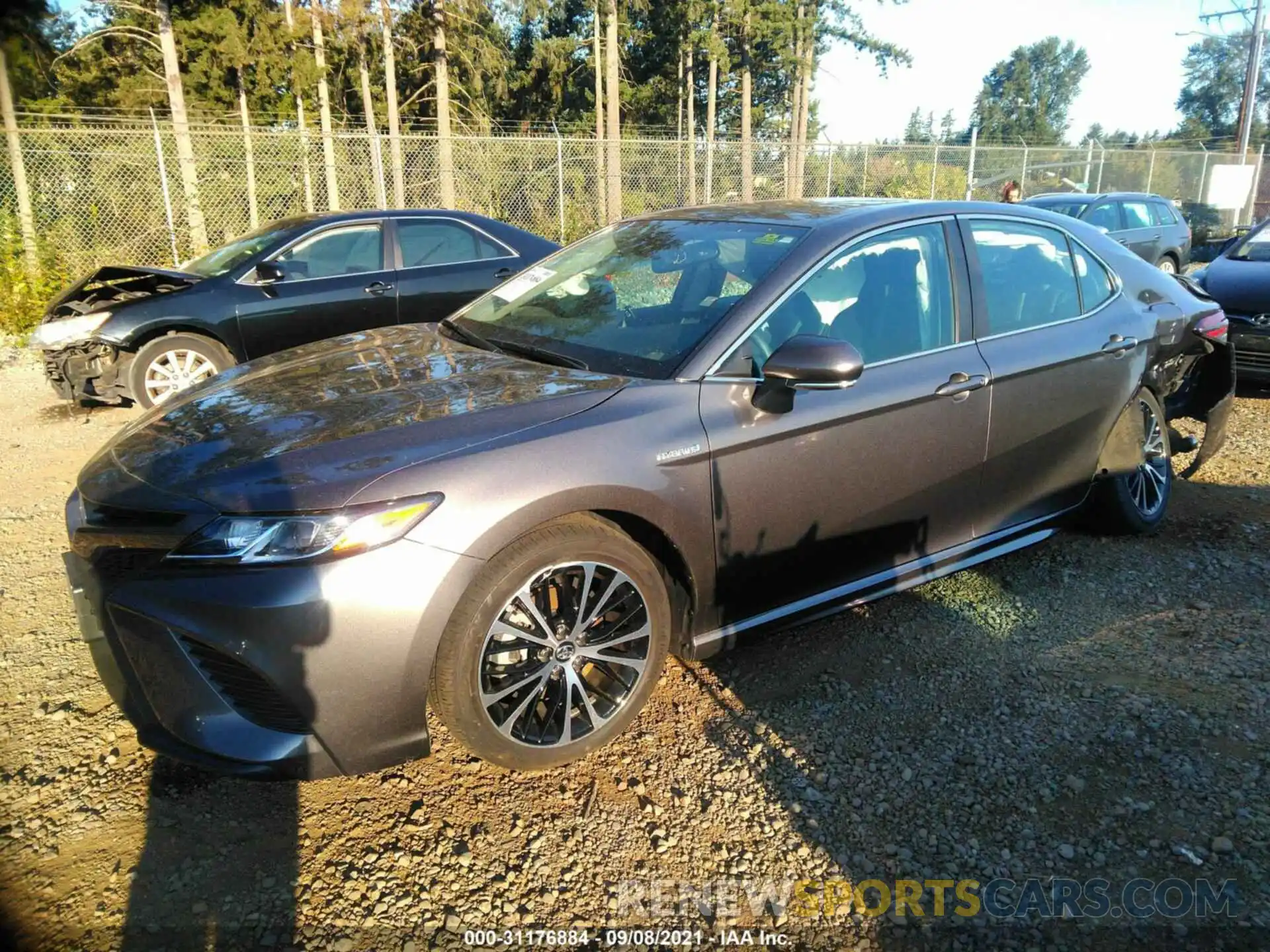 2 Photograph of a damaged car 4T1B21HKXKU518980 TOYOTA CAMRY 2019