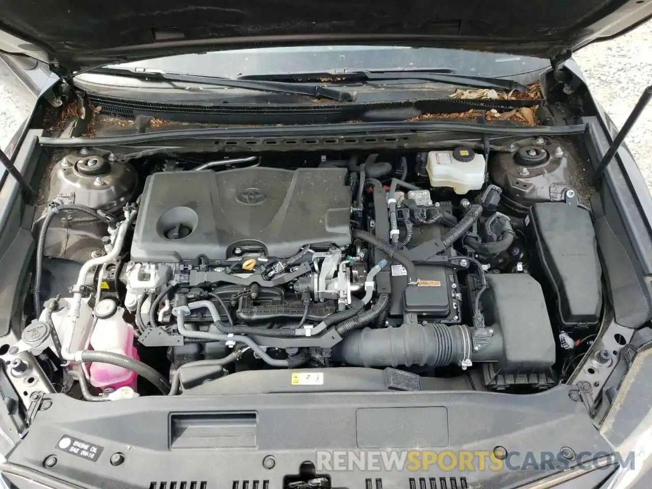 7 Photograph of a damaged car 4T1B31HK0KU005296 TOYOTA CAMRY 2019