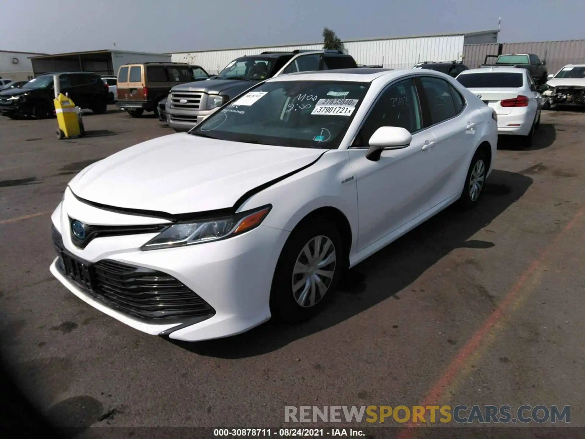 2 Photograph of a damaged car 4T1B31HK0KU006450 TOYOTA CAMRY 2019