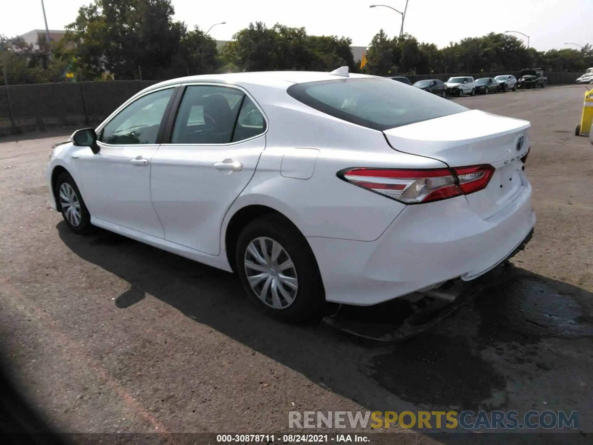 3 Photograph of a damaged car 4T1B31HK0KU006450 TOYOTA CAMRY 2019