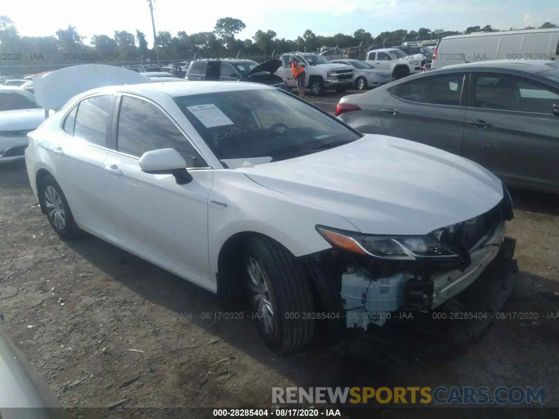 1 Photograph of a damaged car 4T1B31HK0KU007064 TOYOTA CAMRY 2019