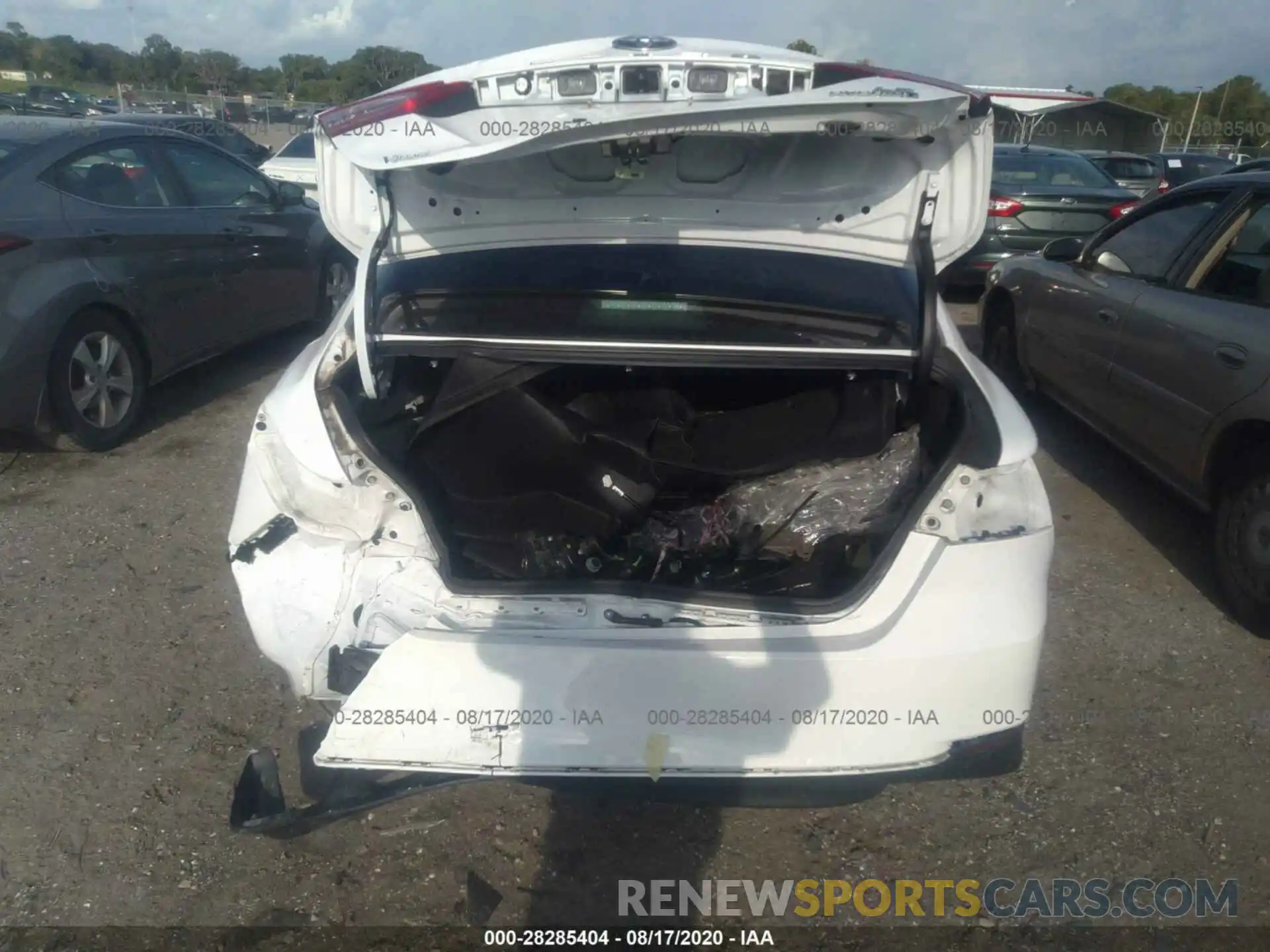 6 Photograph of a damaged car 4T1B31HK0KU007064 TOYOTA CAMRY 2019