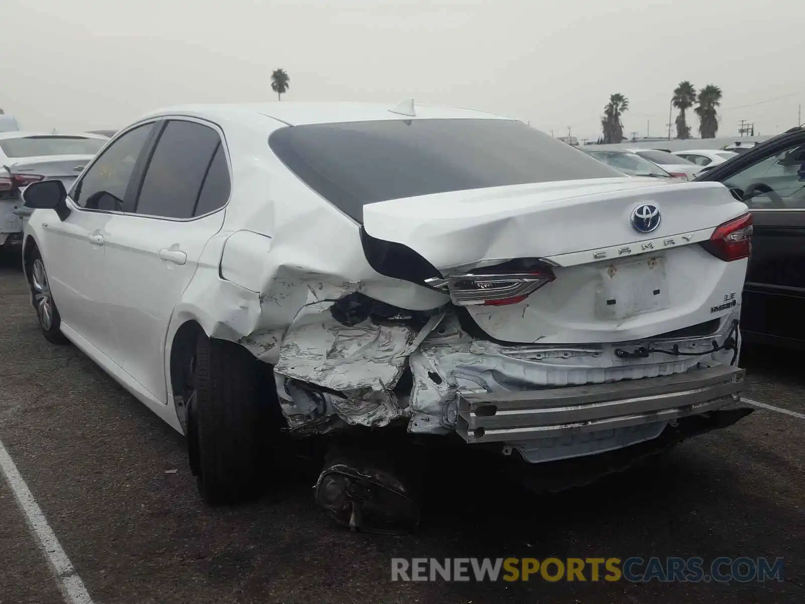 3 Photograph of a damaged car 4T1B31HK0KU008408 TOYOTA CAMRY 2019