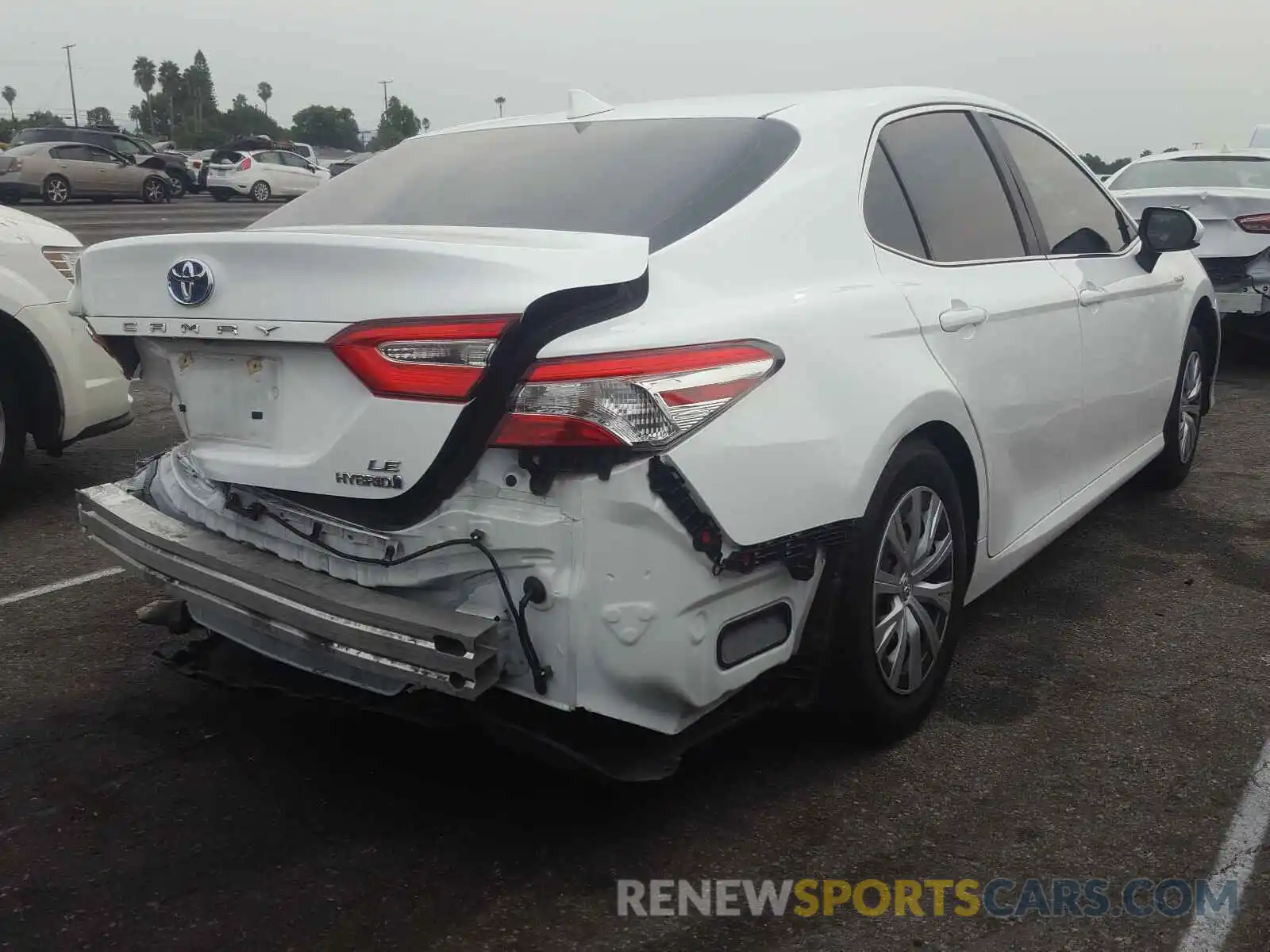 4 Photograph of a damaged car 4T1B31HK0KU008408 TOYOTA CAMRY 2019