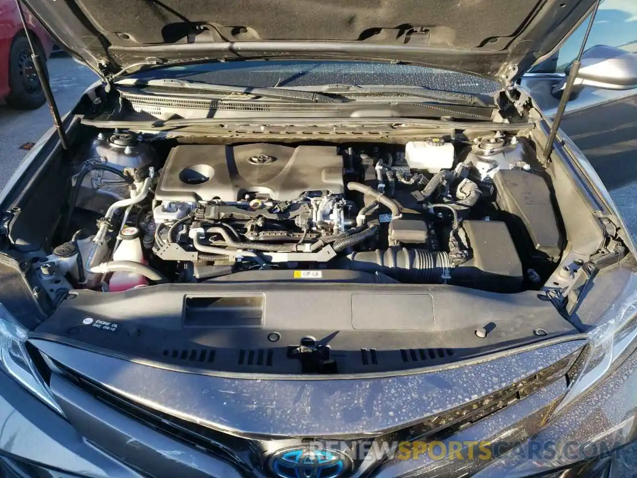 7 Photograph of a damaged car 4T1B31HK0KU008960 TOYOTA CAMRY 2019