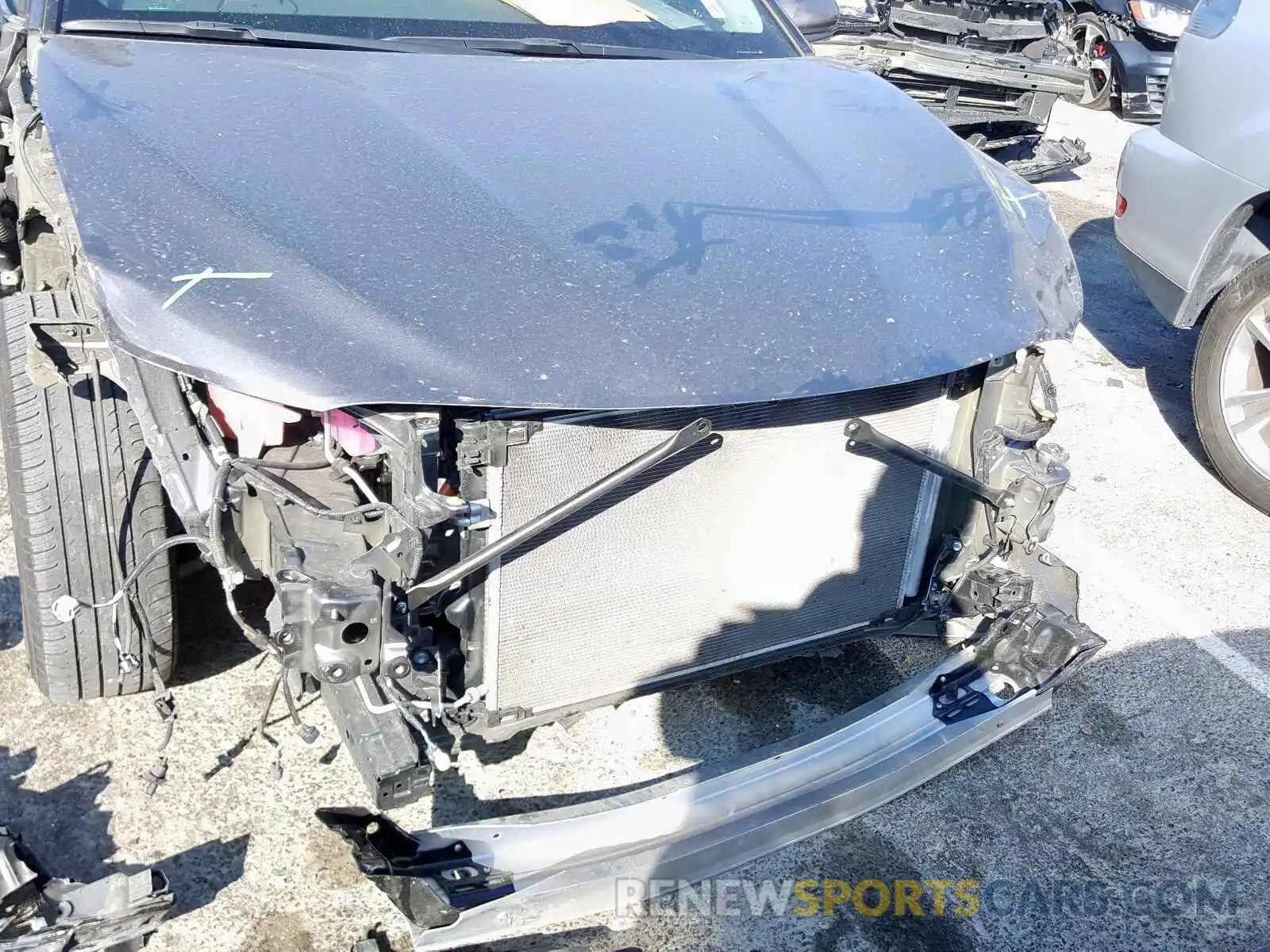 9 Photograph of a damaged car 4T1B31HK0KU510464 TOYOTA CAMRY 2019