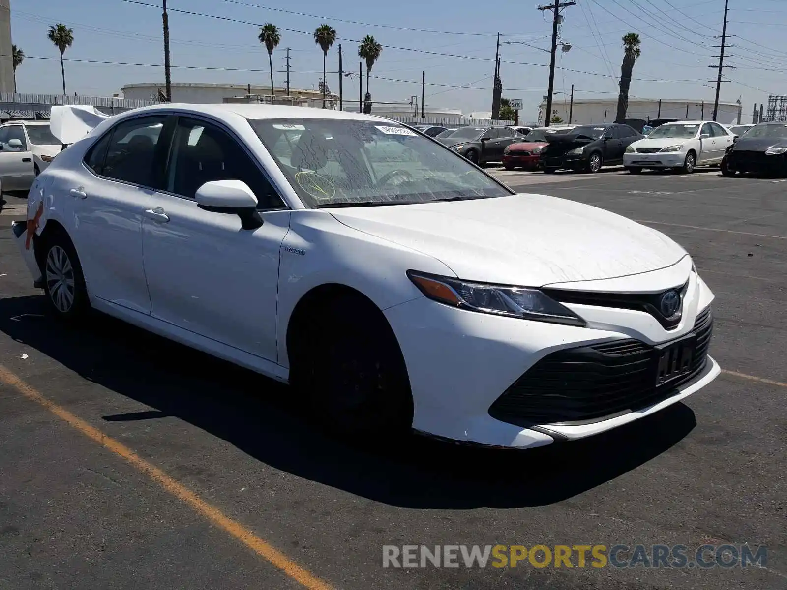 1 Photograph of a damaged car 4T1B31HK0KU512599 TOYOTA CAMRY 2019