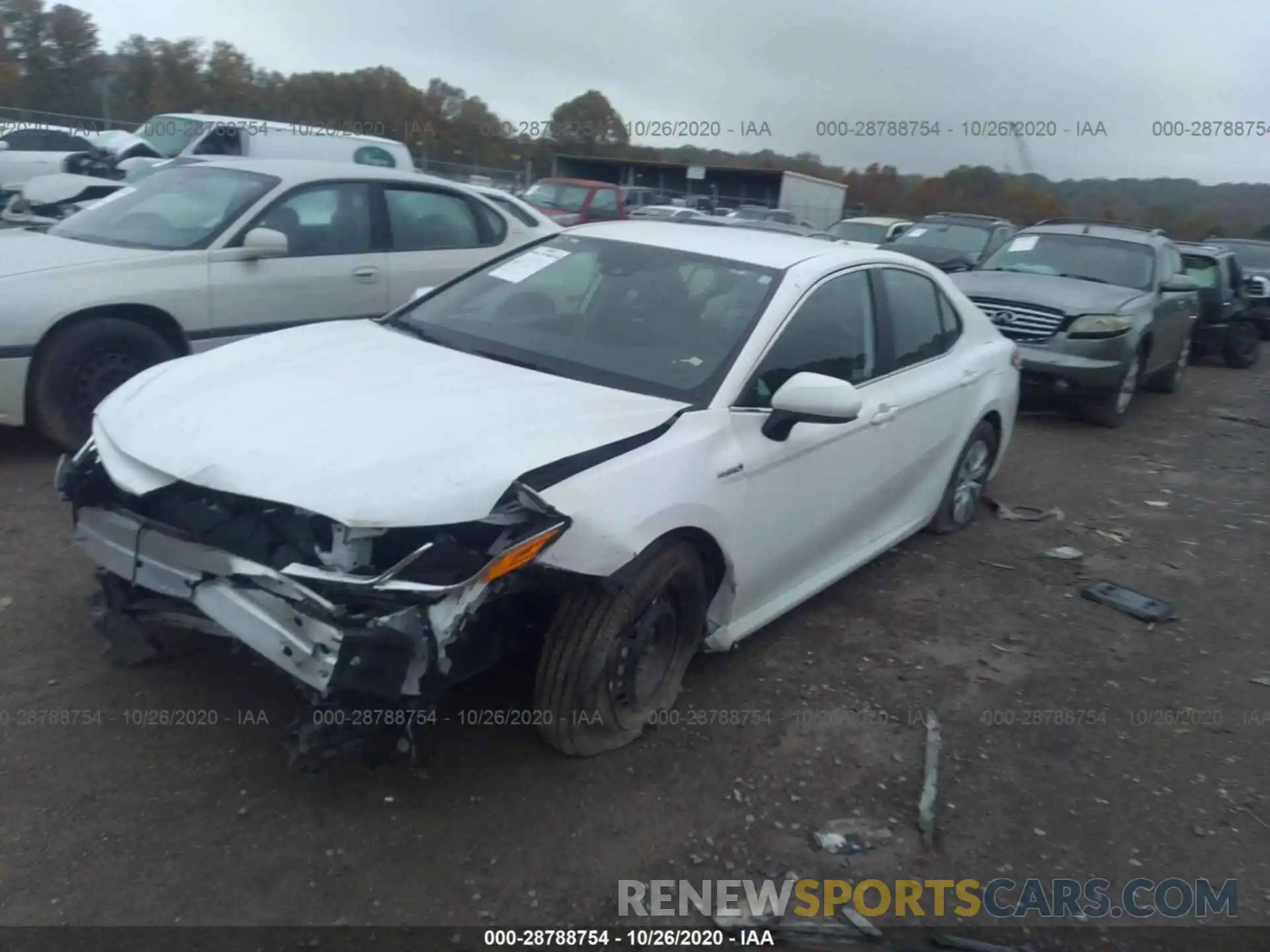 2 Photograph of a damaged car 4T1B31HK0KU516023 TOYOTA CAMRY 2019