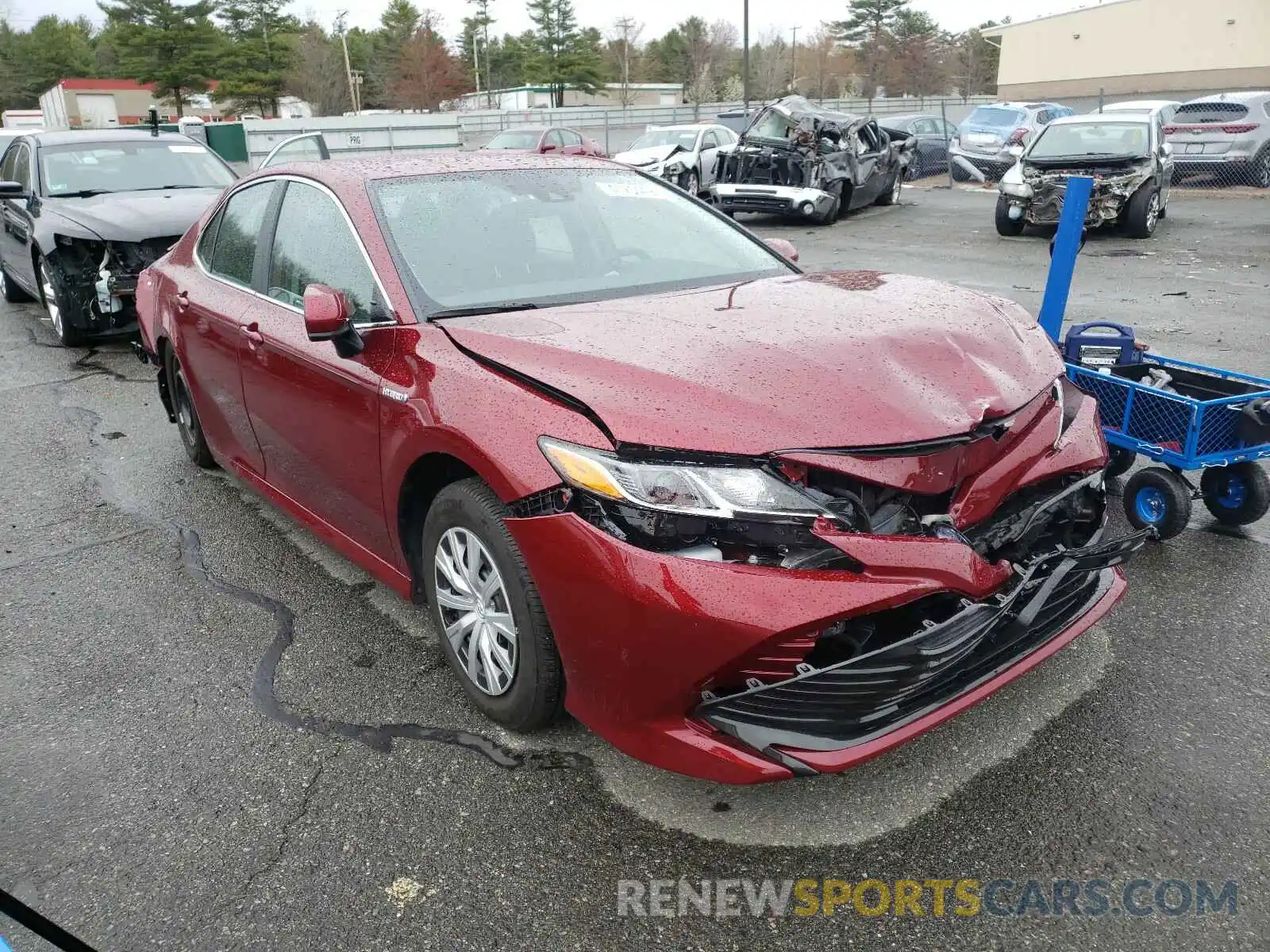 1 Photograph of a damaged car 4T1B31HK0KU516541 TOYOTA CAMRY 2019