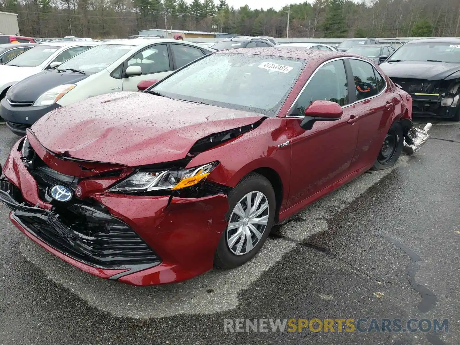 2 Photograph of a damaged car 4T1B31HK0KU516541 TOYOTA CAMRY 2019