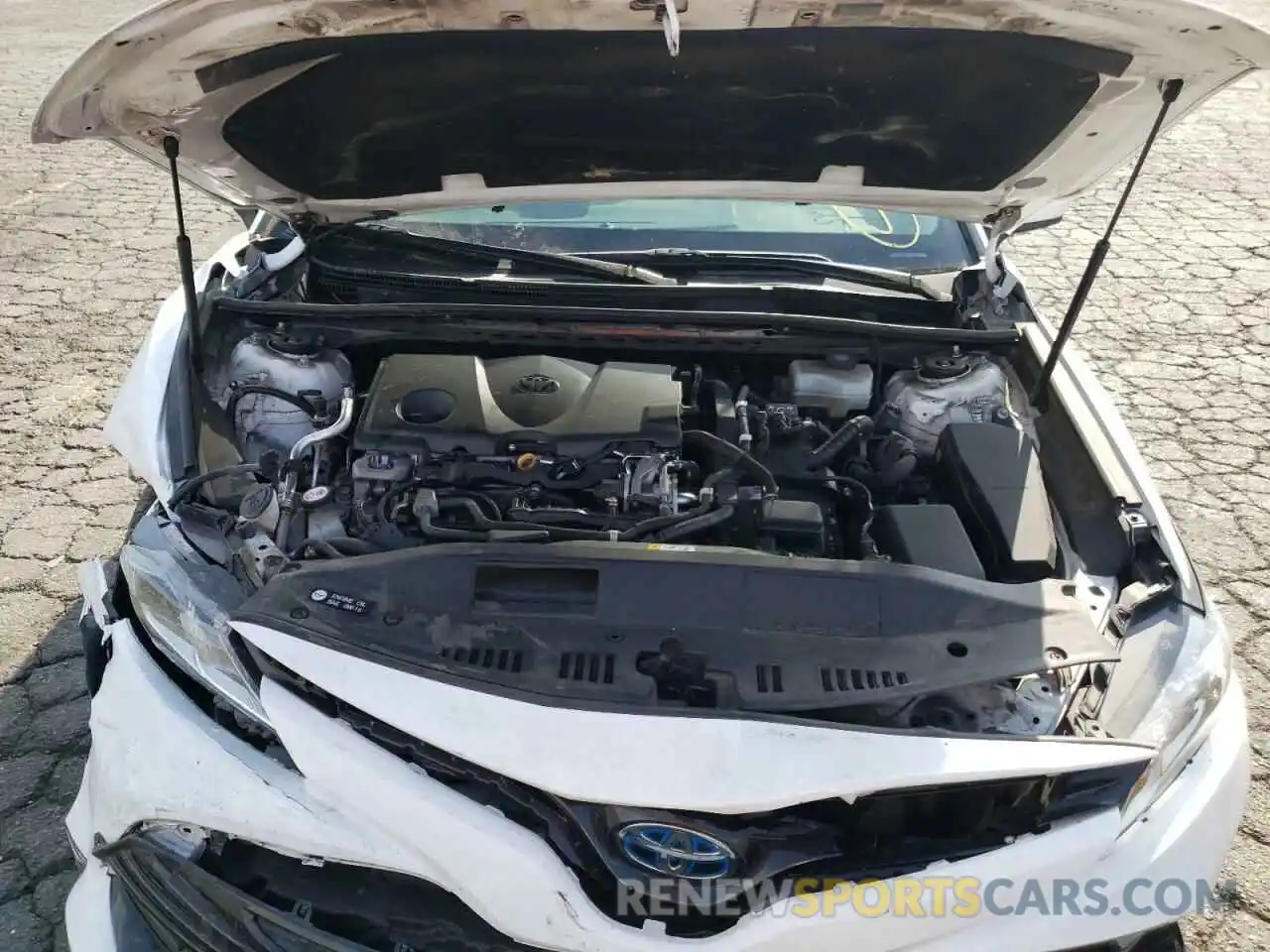 7 Photograph of a damaged car 4T1B31HK1KU005047 TOYOTA CAMRY 2019