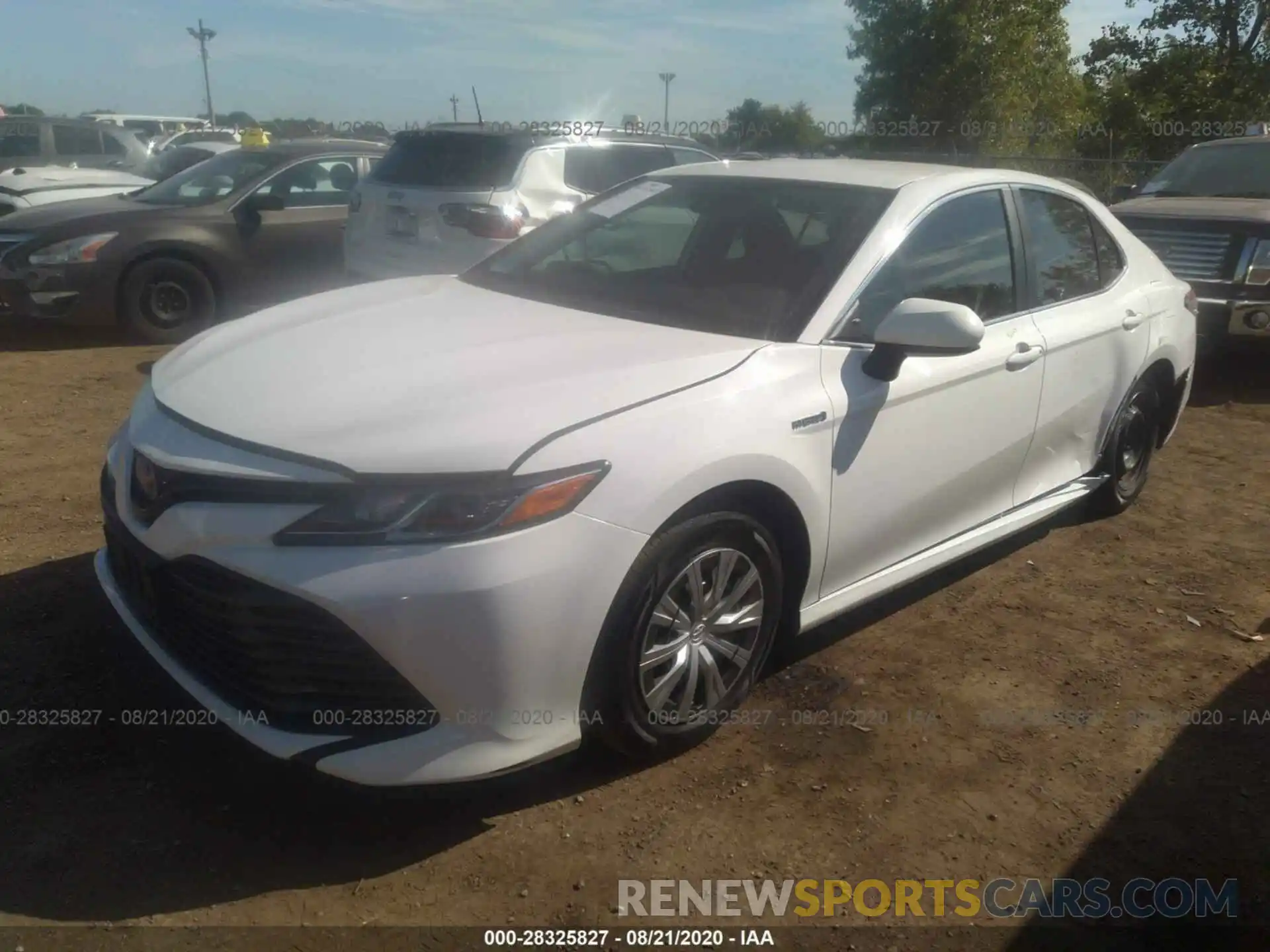 2 Photograph of a damaged car 4T1B31HK1KU005064 TOYOTA CAMRY 2019