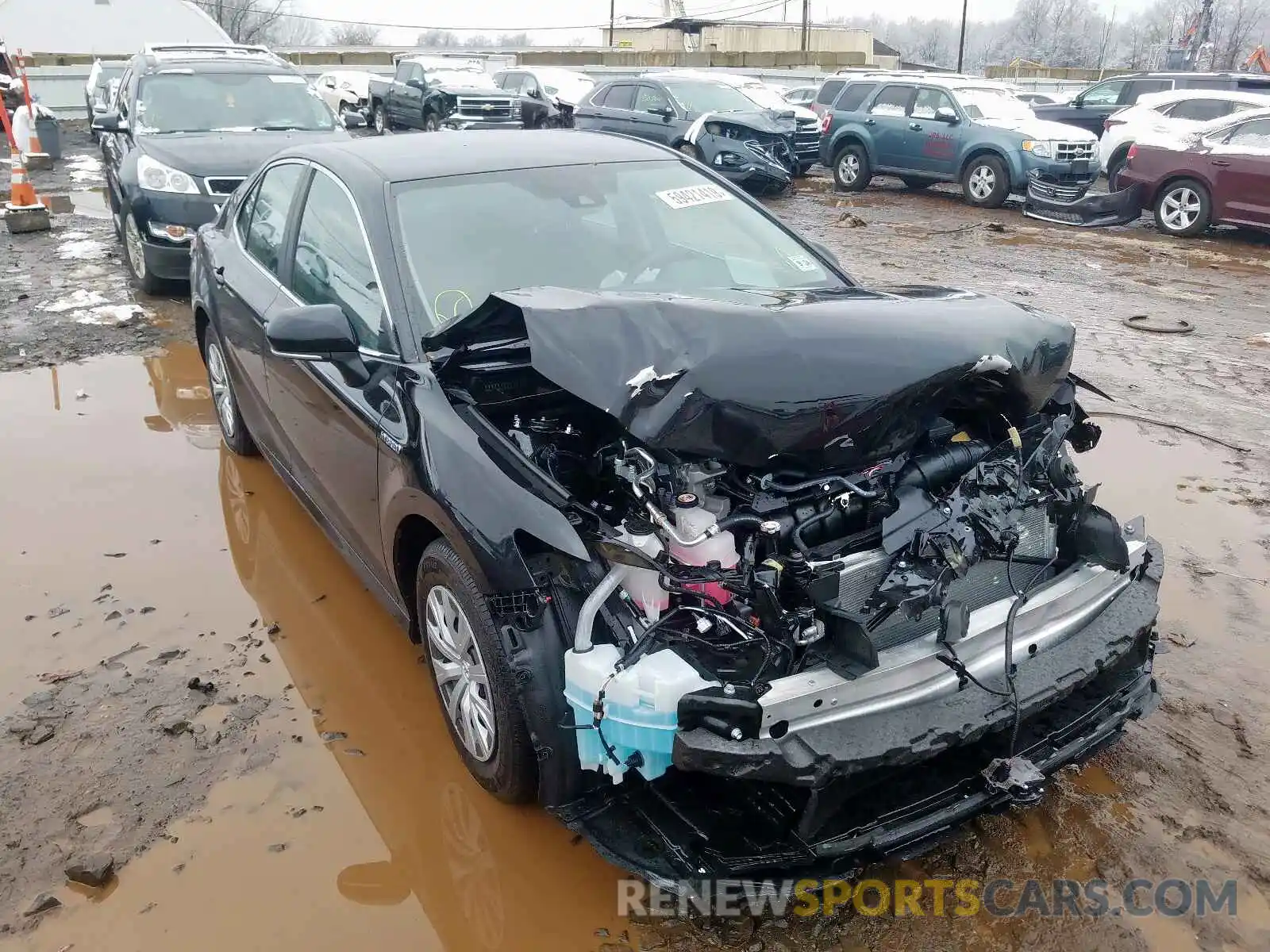 1 Photograph of a damaged car 4T1B31HK1KU009020 TOYOTA CAMRY 2019