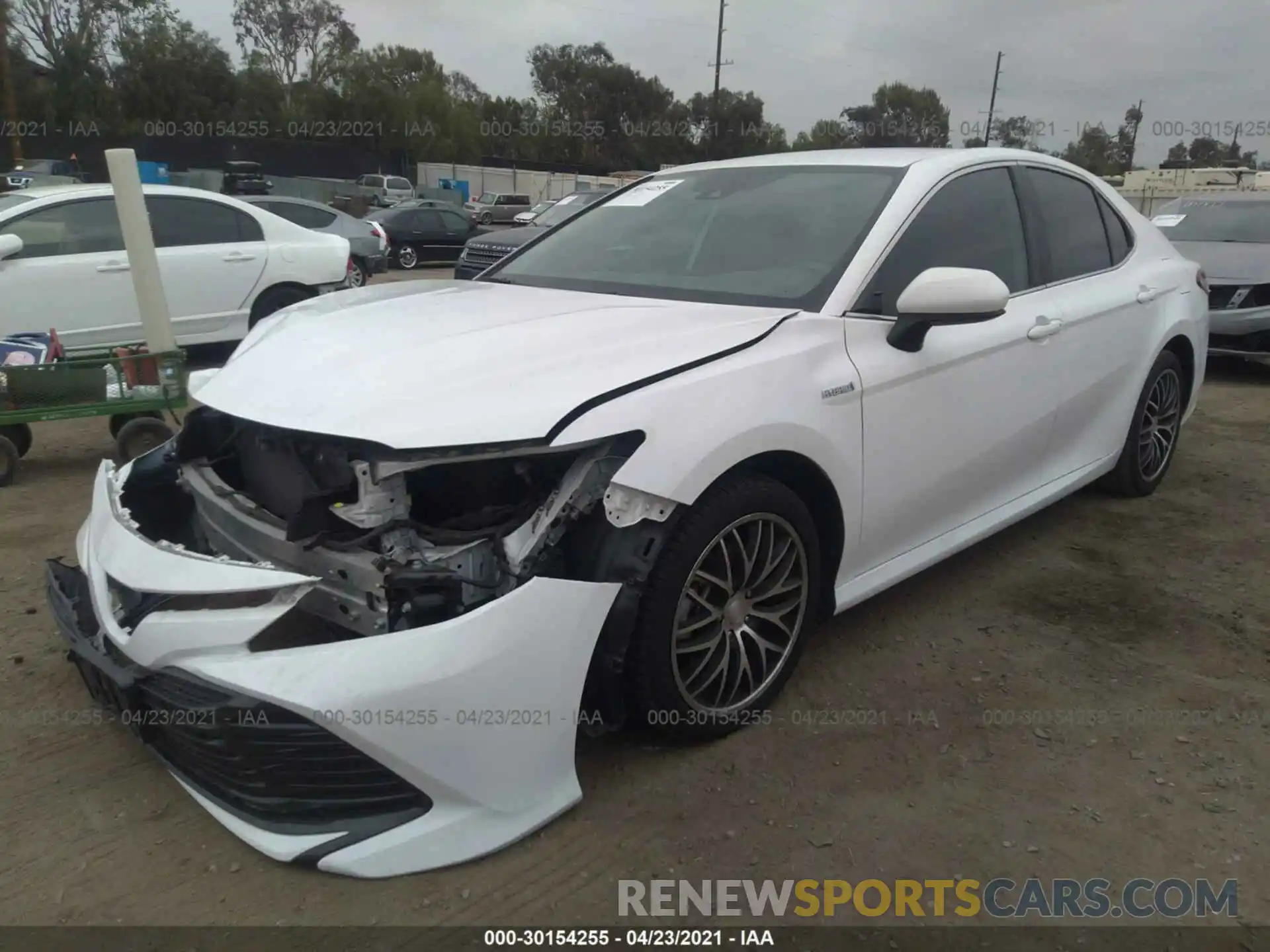 2 Photograph of a damaged car 4T1B31HK1KU509534 TOYOTA CAMRY 2019