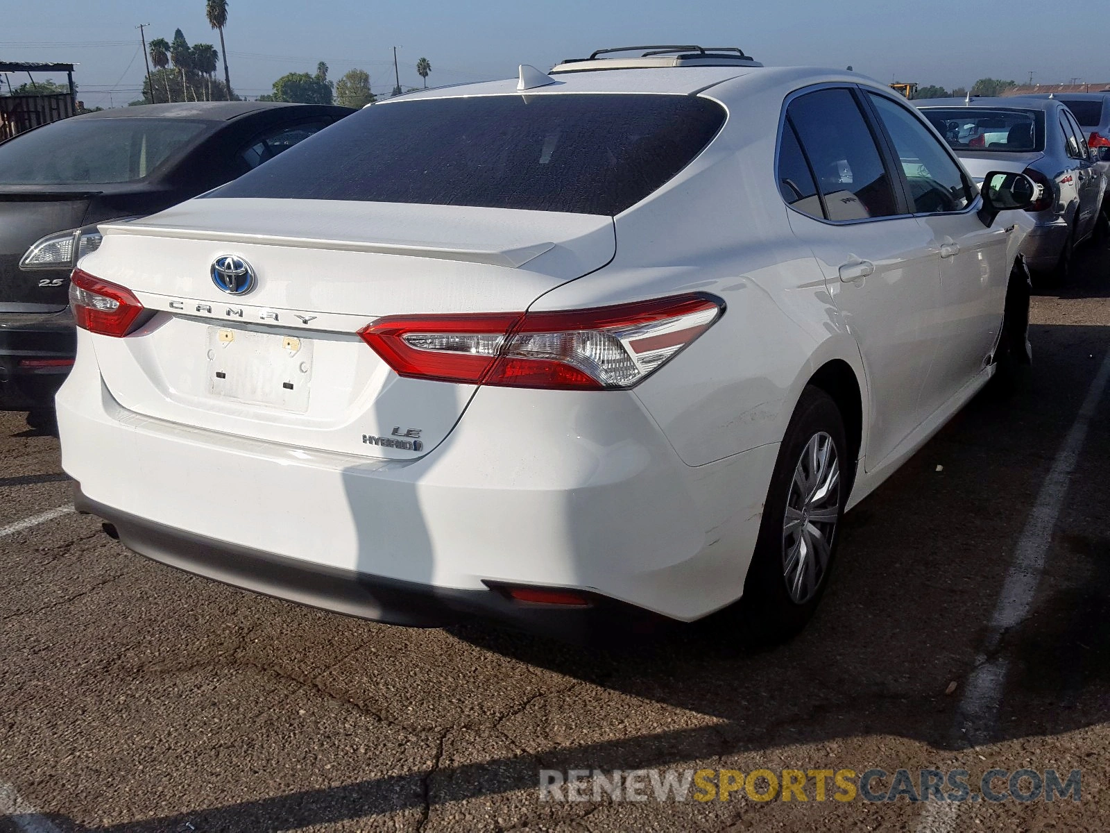 4 Photograph of a damaged car 4T1B31HK1KU511462 TOYOTA CAMRY 2019