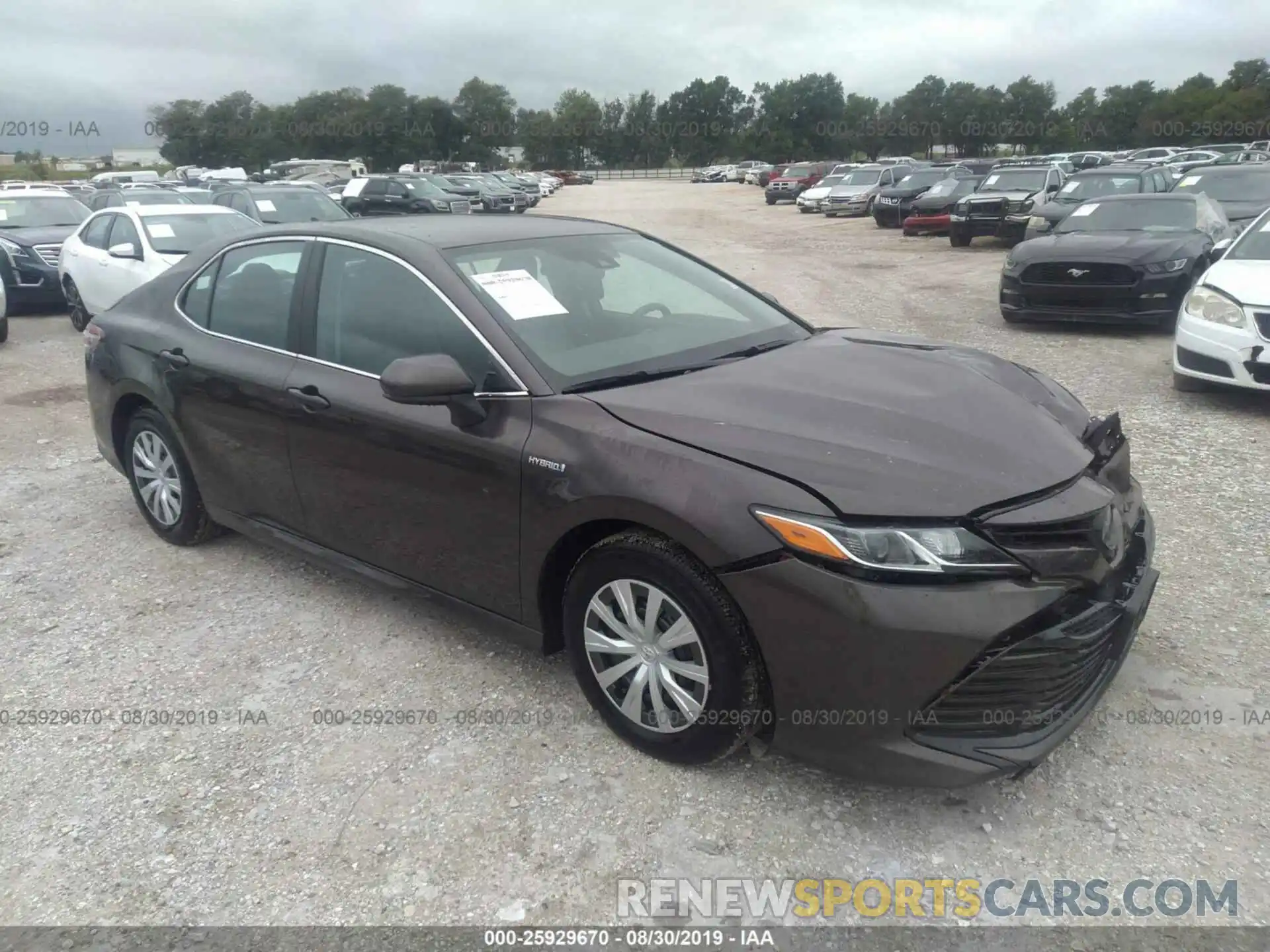 1 Photograph of a damaged car 4T1B31HK1KU514314 TOYOTA CAMRY 2019