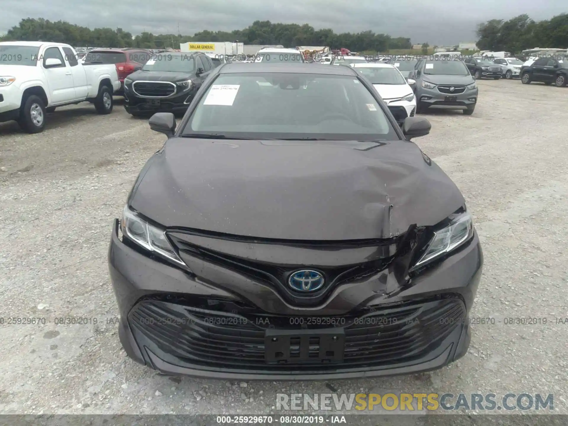 6 Photograph of a damaged car 4T1B31HK1KU514314 TOYOTA CAMRY 2019