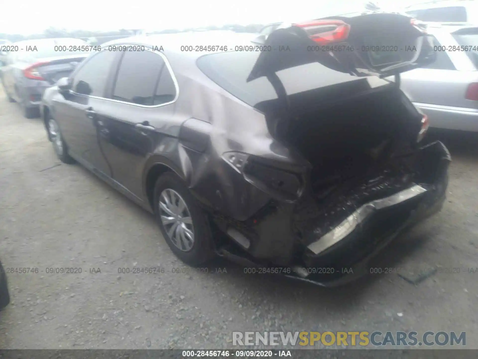 3 Photograph of a damaged car 4T1B31HK1KU514619 TOYOTA CAMRY 2019