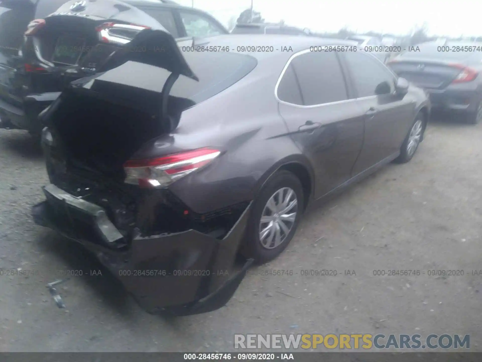 4 Photograph of a damaged car 4T1B31HK1KU514619 TOYOTA CAMRY 2019